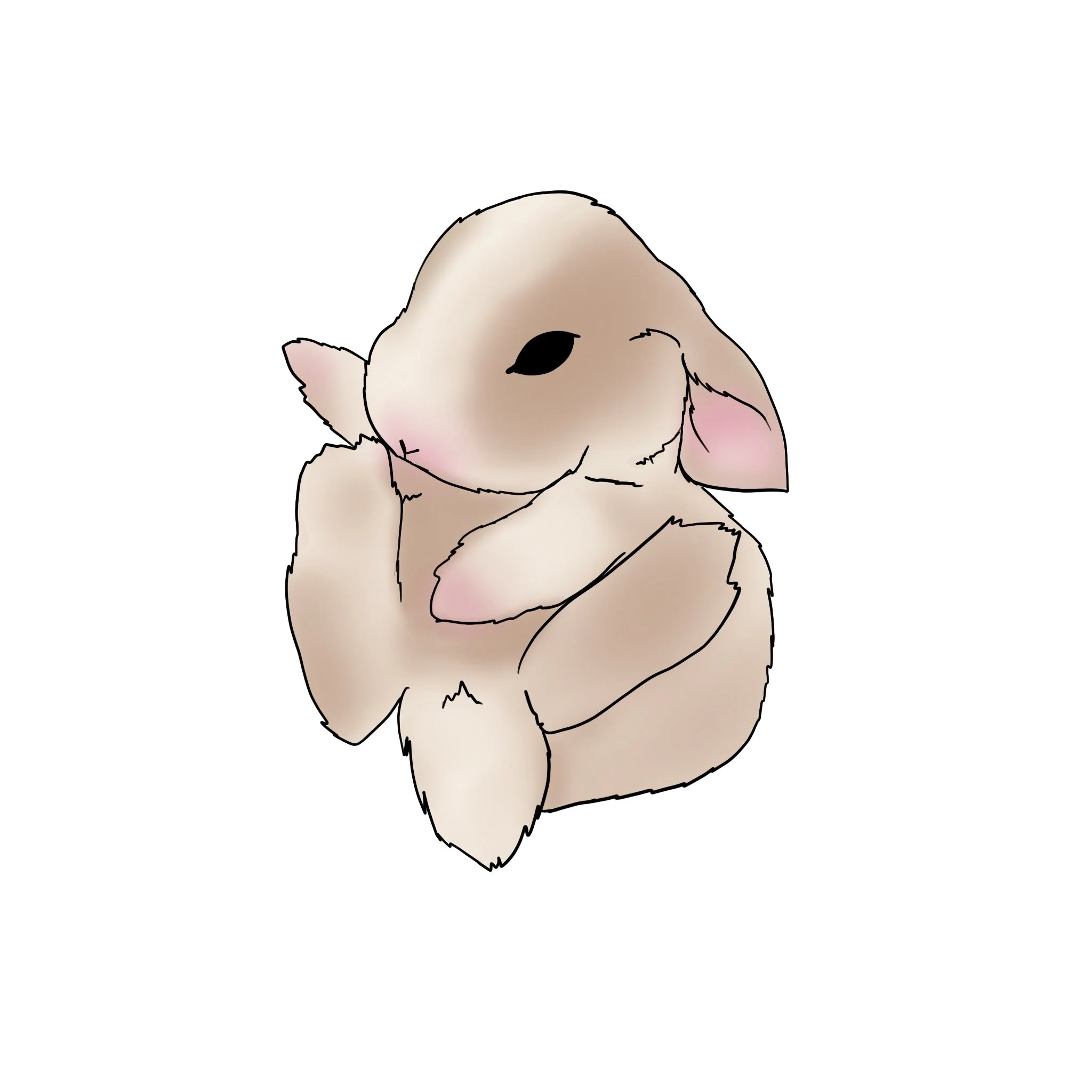 Bunny_2.jpg