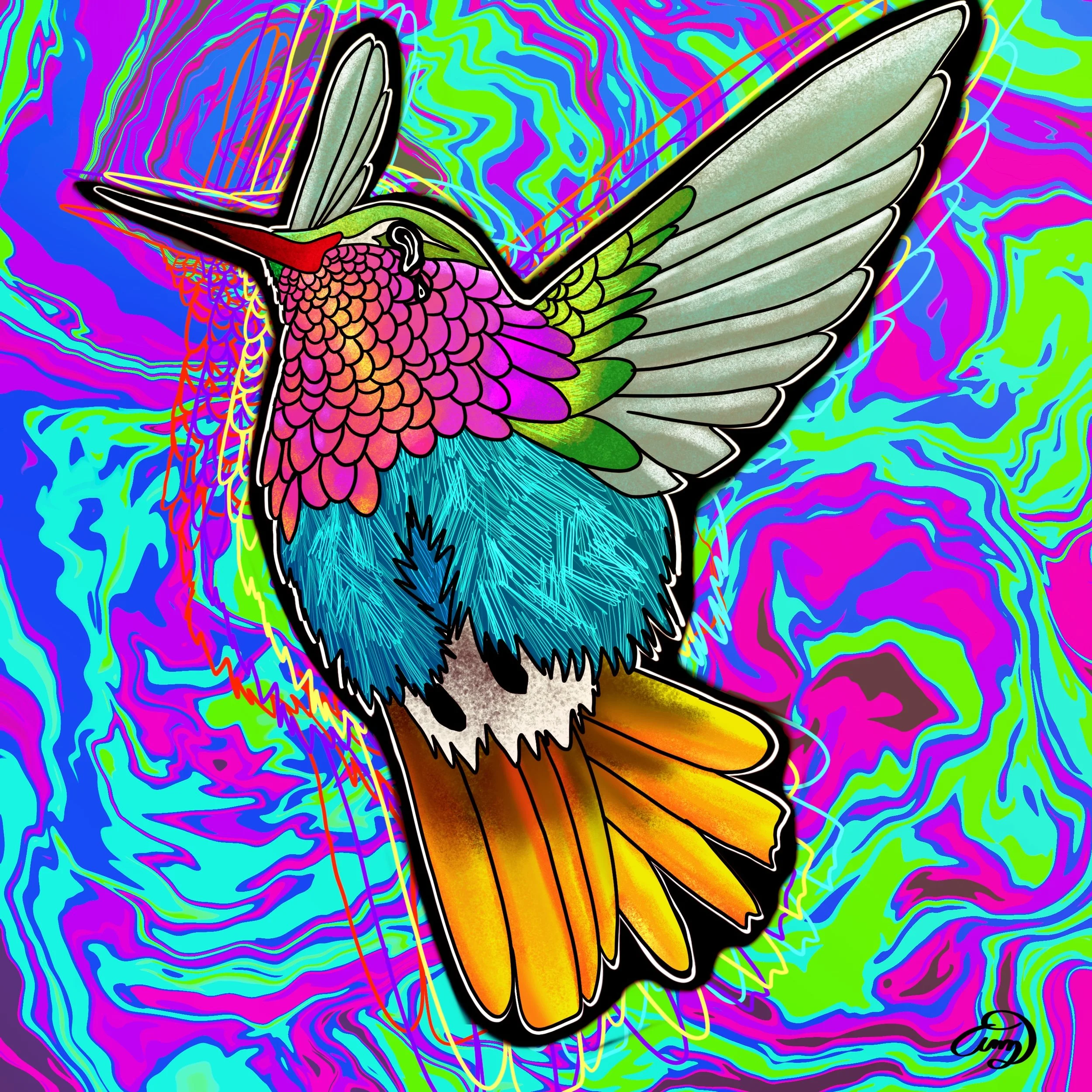 Trippy_Hummingbird.JPG