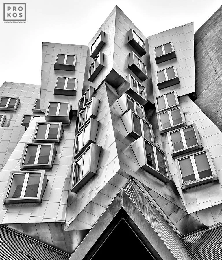 Adaptive Fashion Design