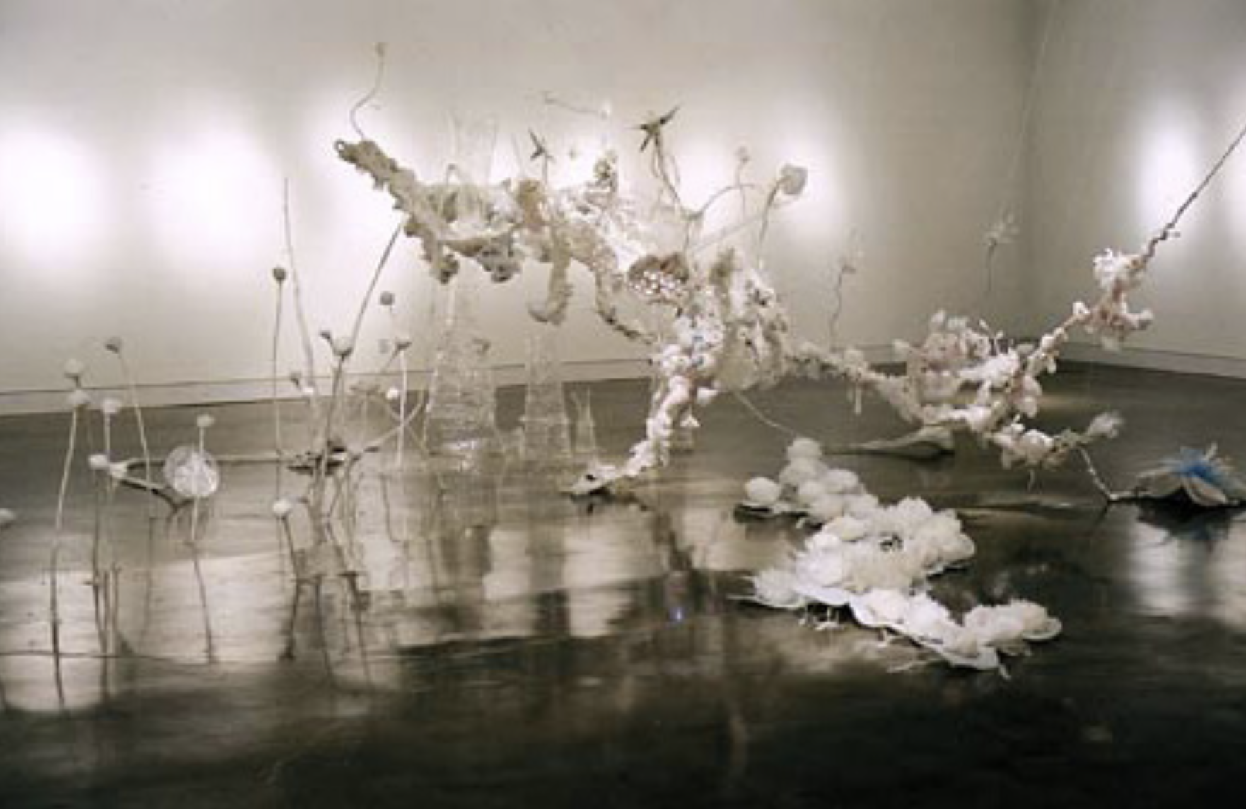 Installation-FranciscoMartinez - Francisco M.png