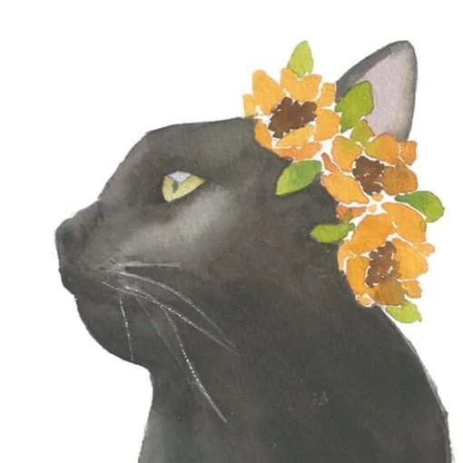 IMG_20240904_122612_150 - Sharon Robles.jpg