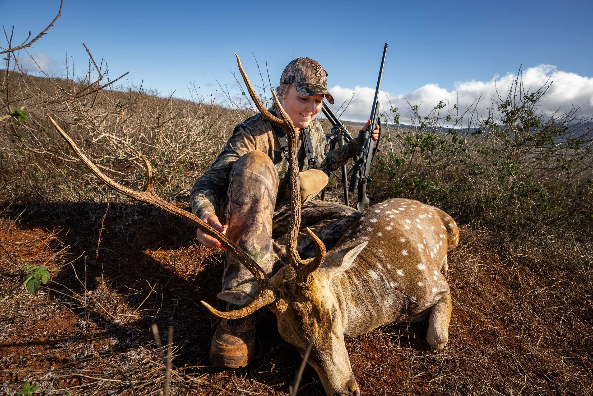 Hawaii Axis Olivia.jpg