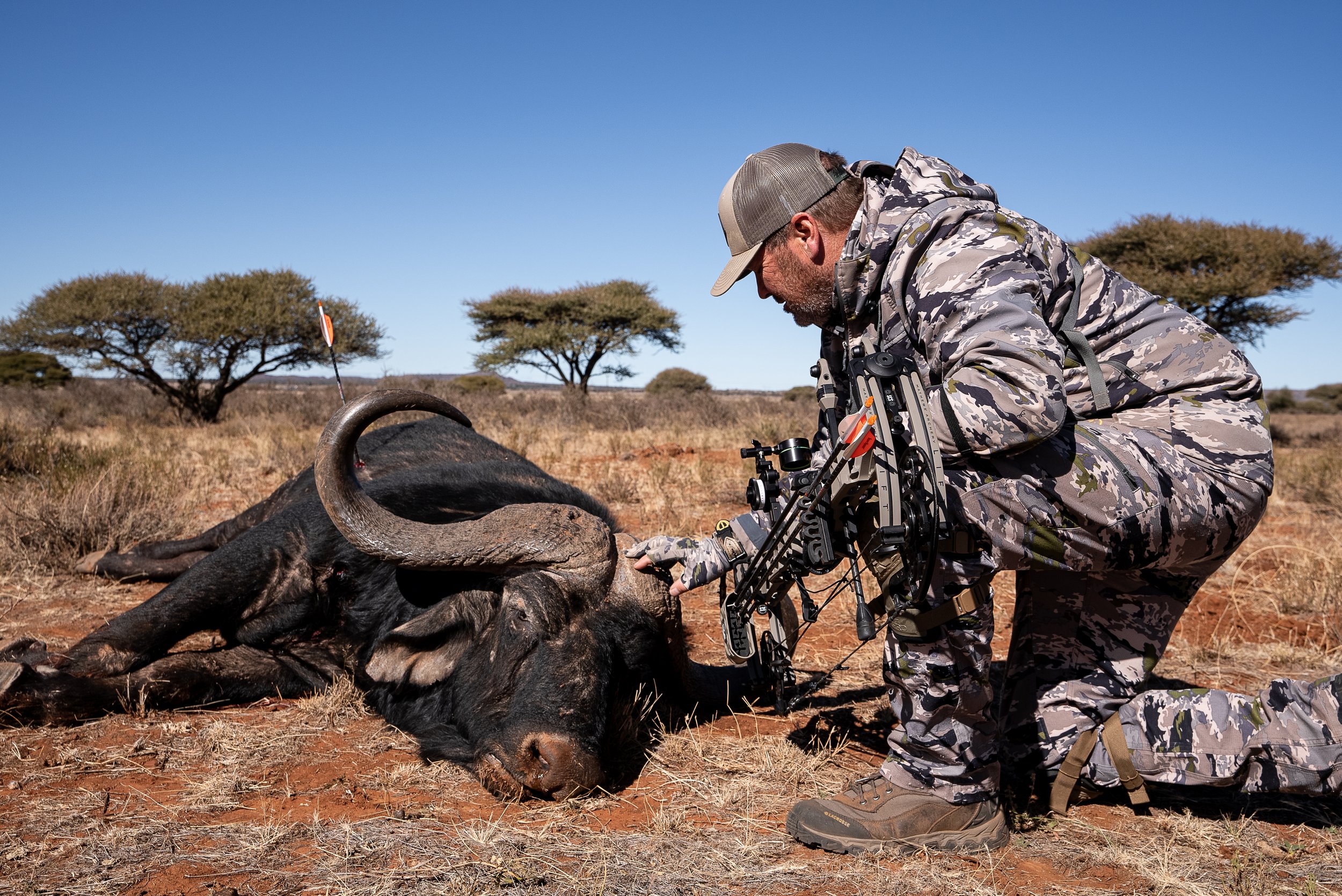 Africa 2 Pat Cape Buffalo-00049.jpg