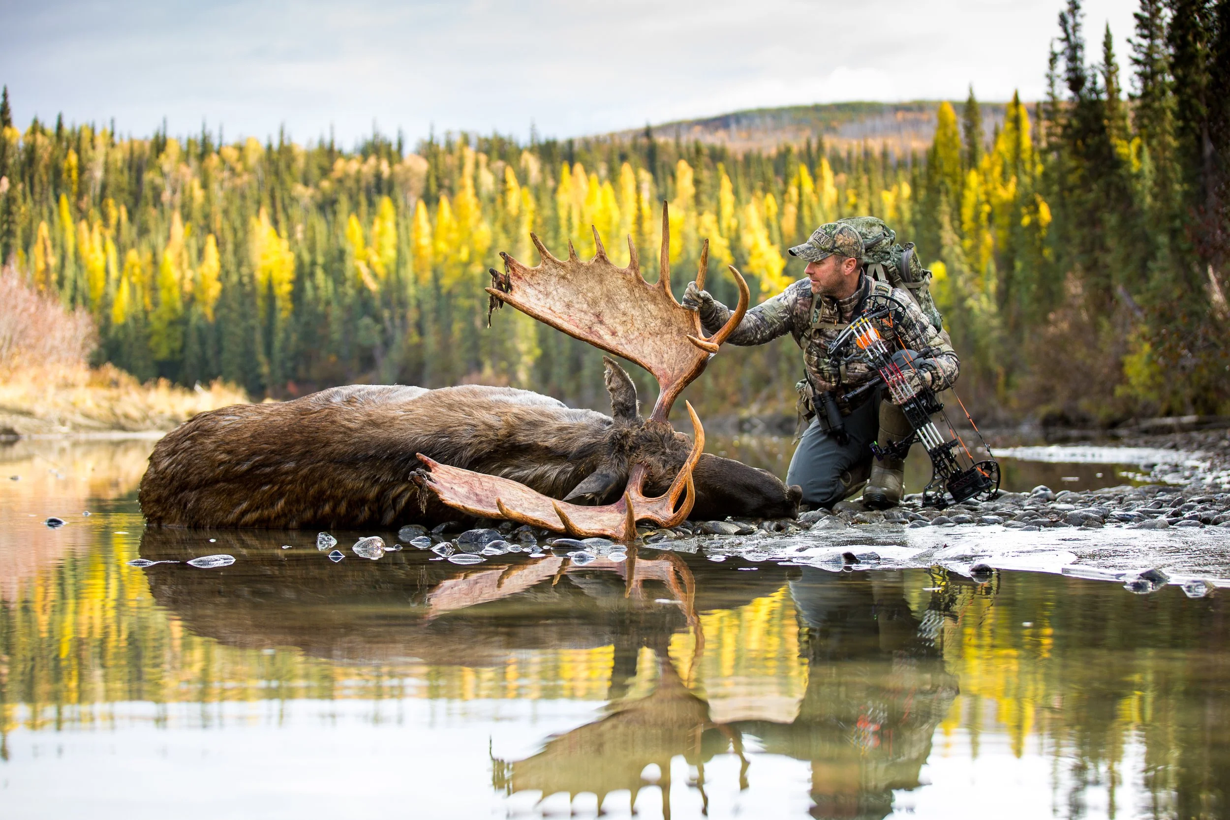 Pat Yukon Moose BEST.jpg
