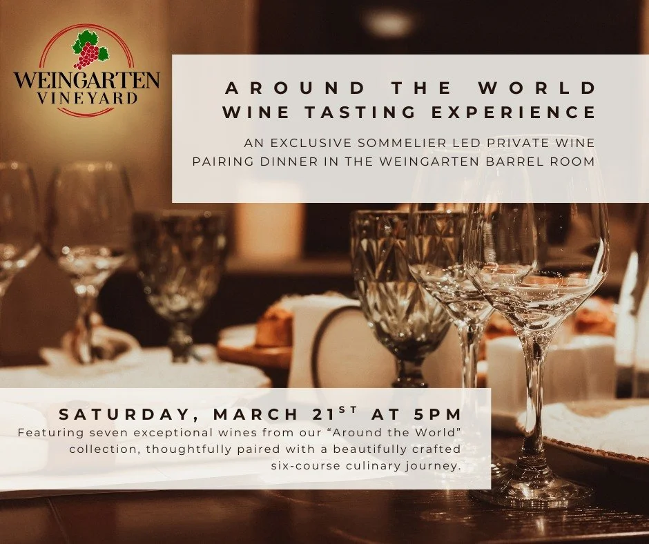 Around The World Wine Tasting Experience