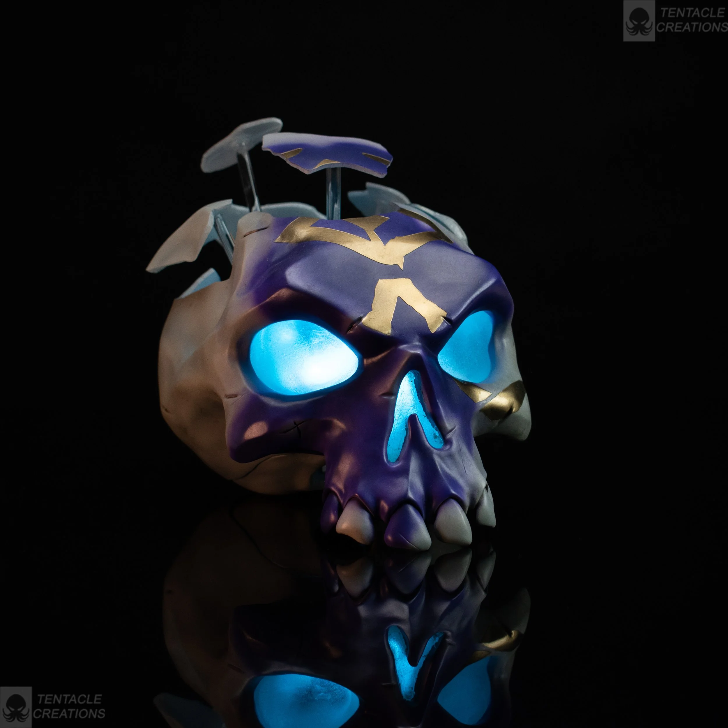 vil fortuve 2 final.JPG