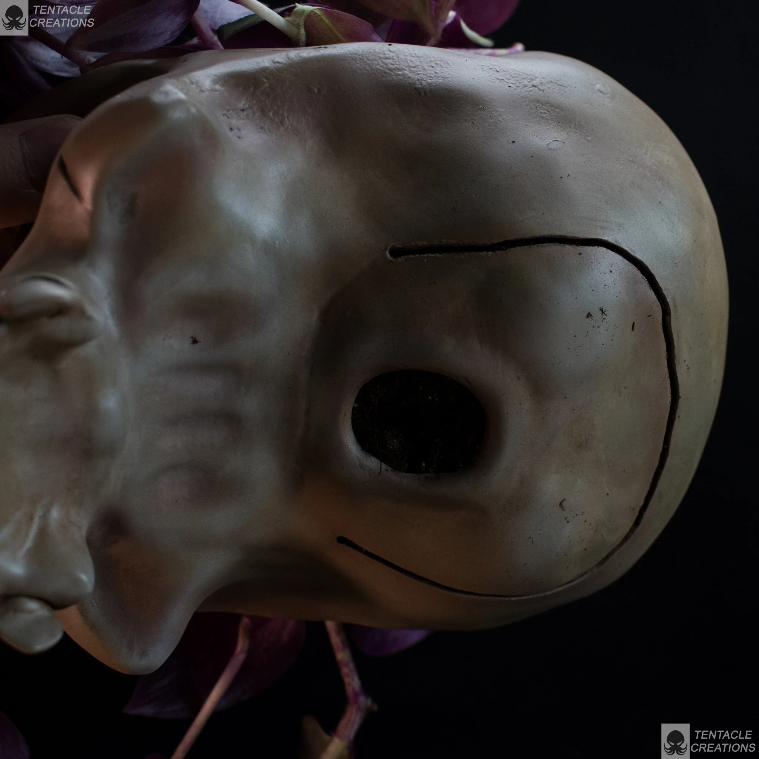 plant pot skull-10.JPG