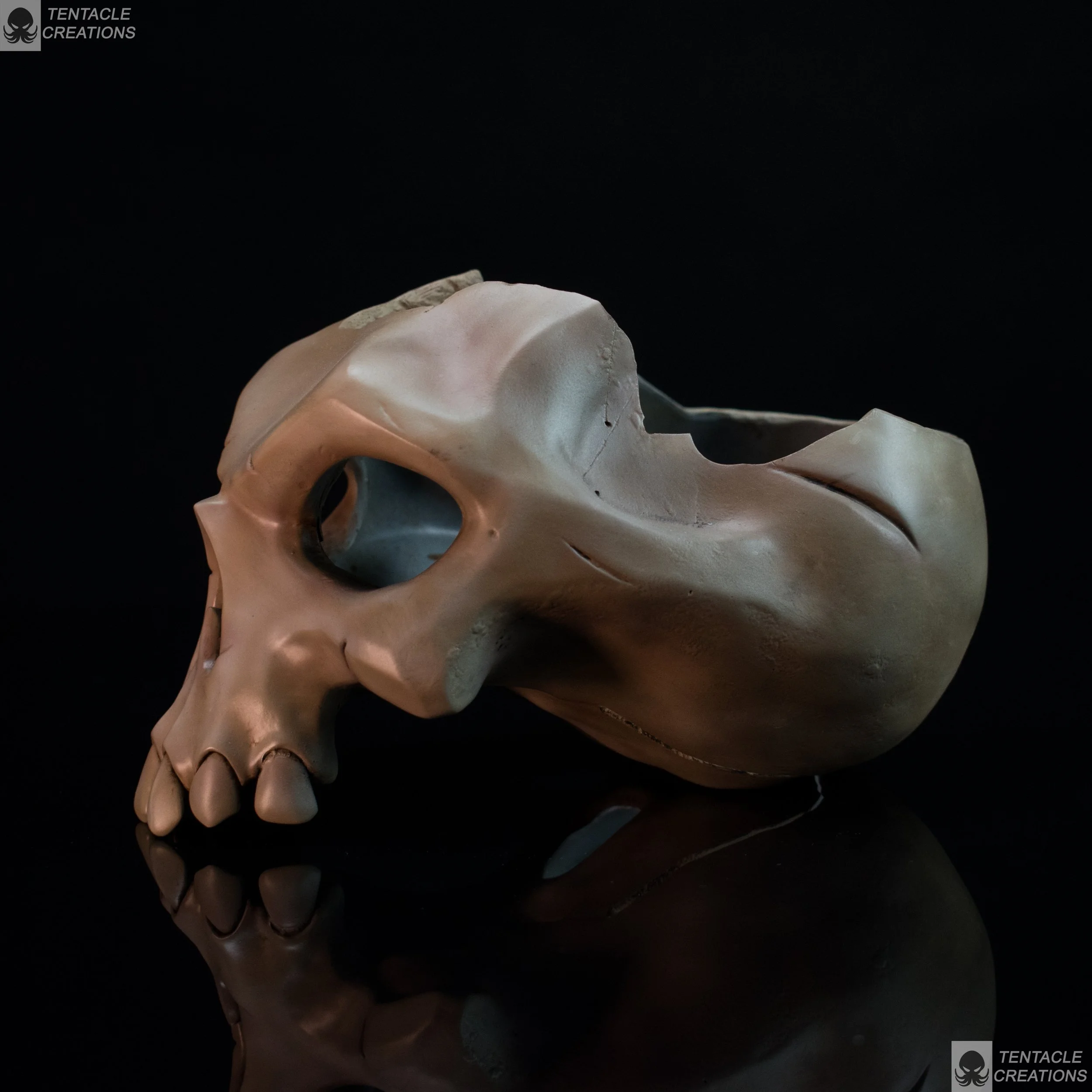 plant pot skull-3.JPG