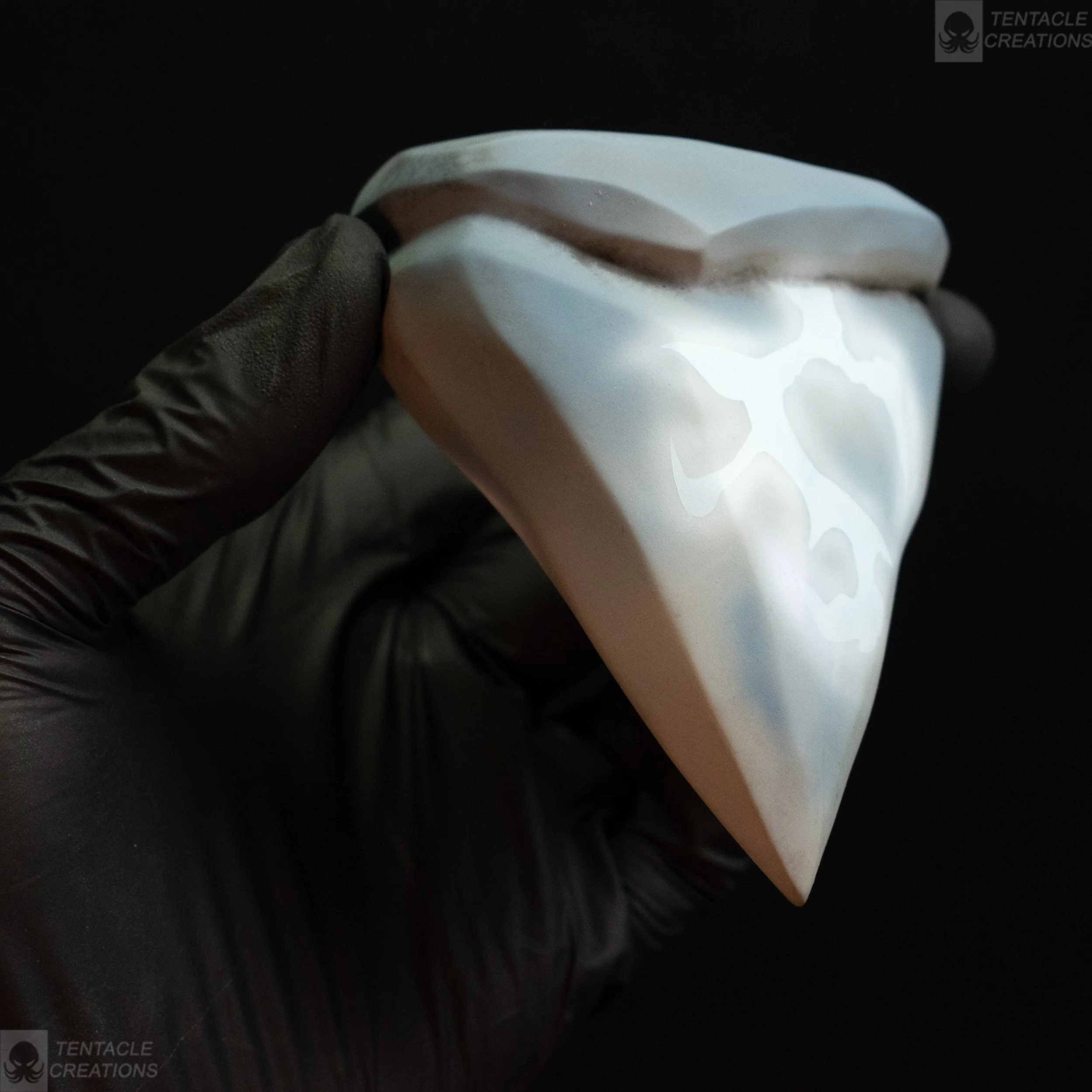 final teeth meg-17.jpg (Copy)