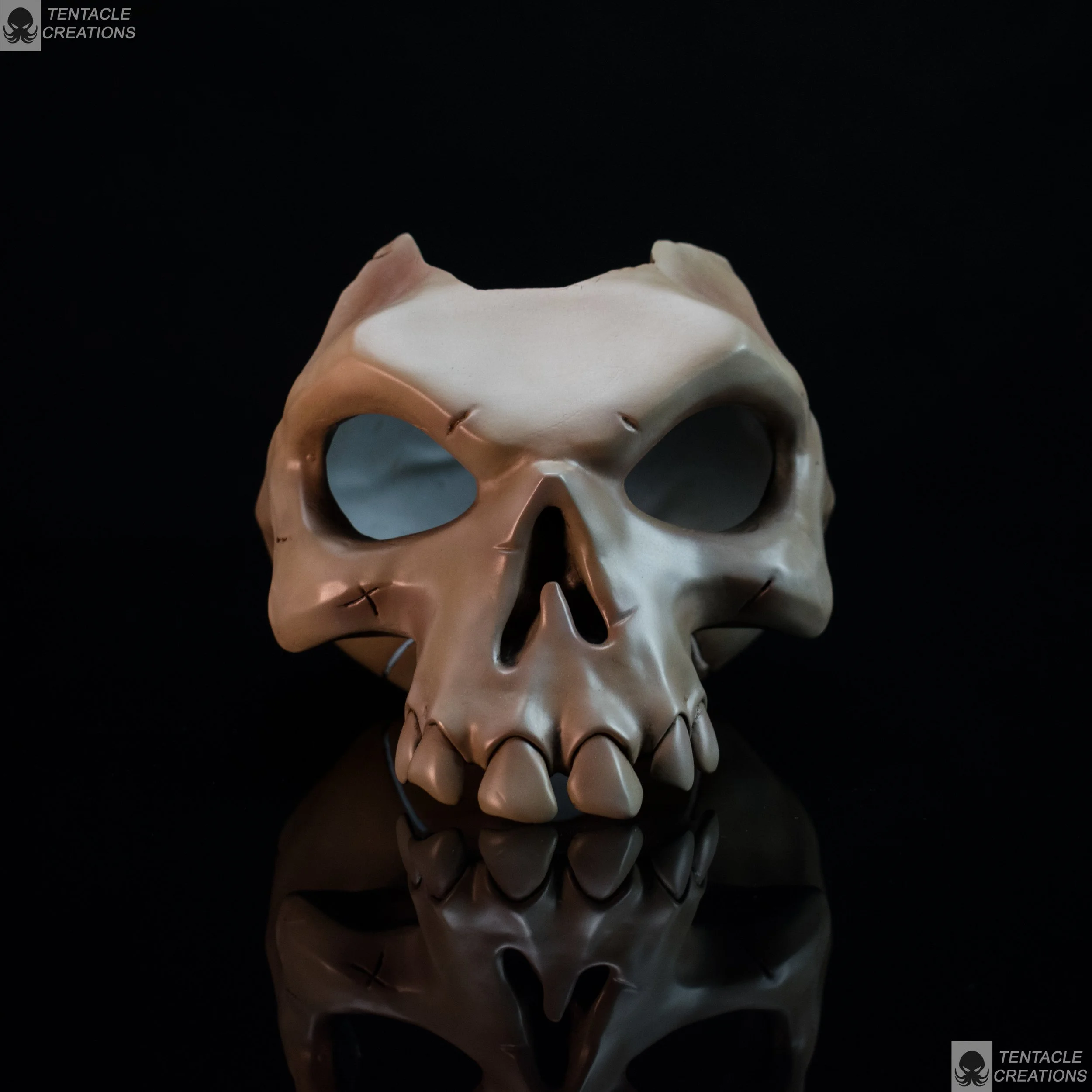 plant pot skull-2.JPG