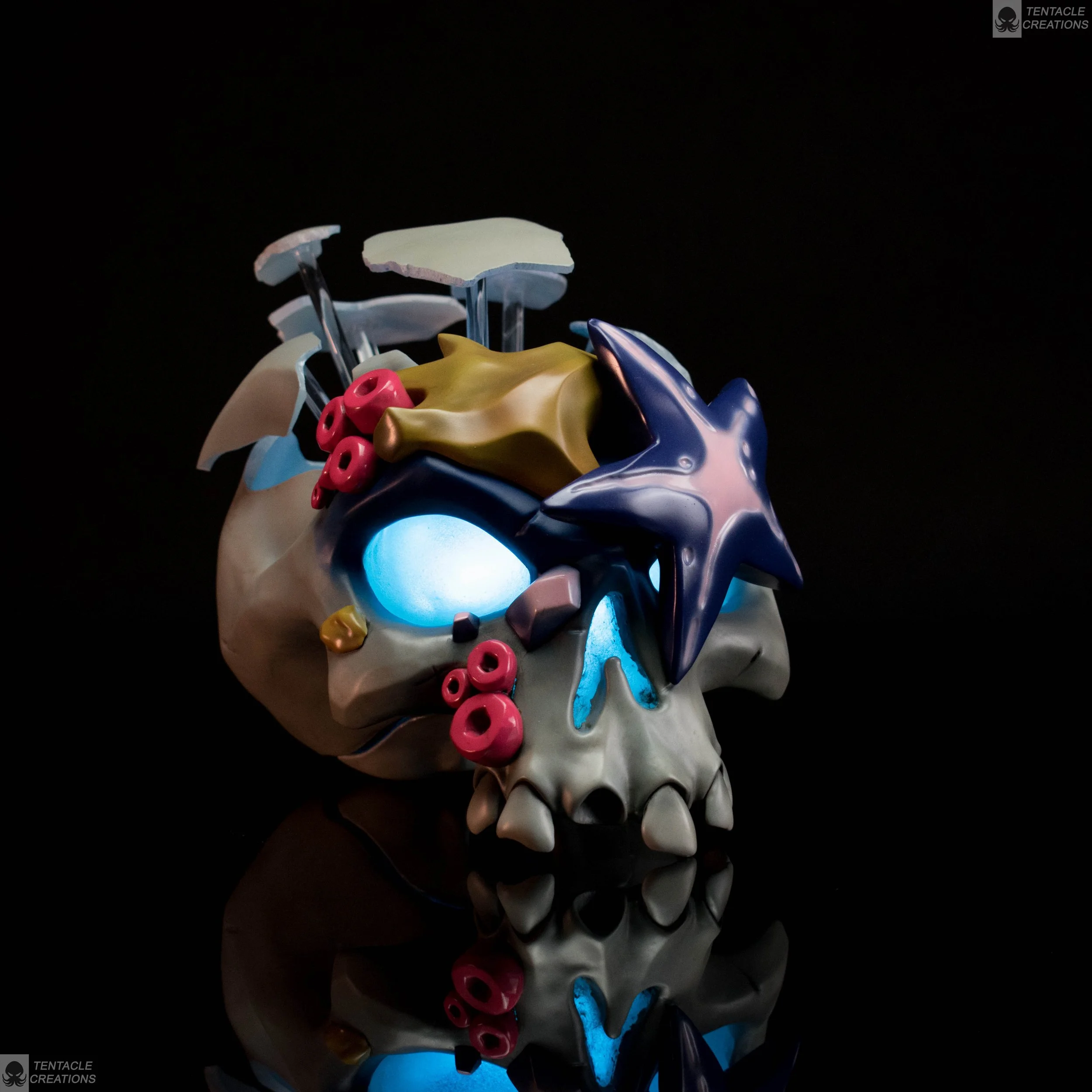 coral skull final-6.jpg