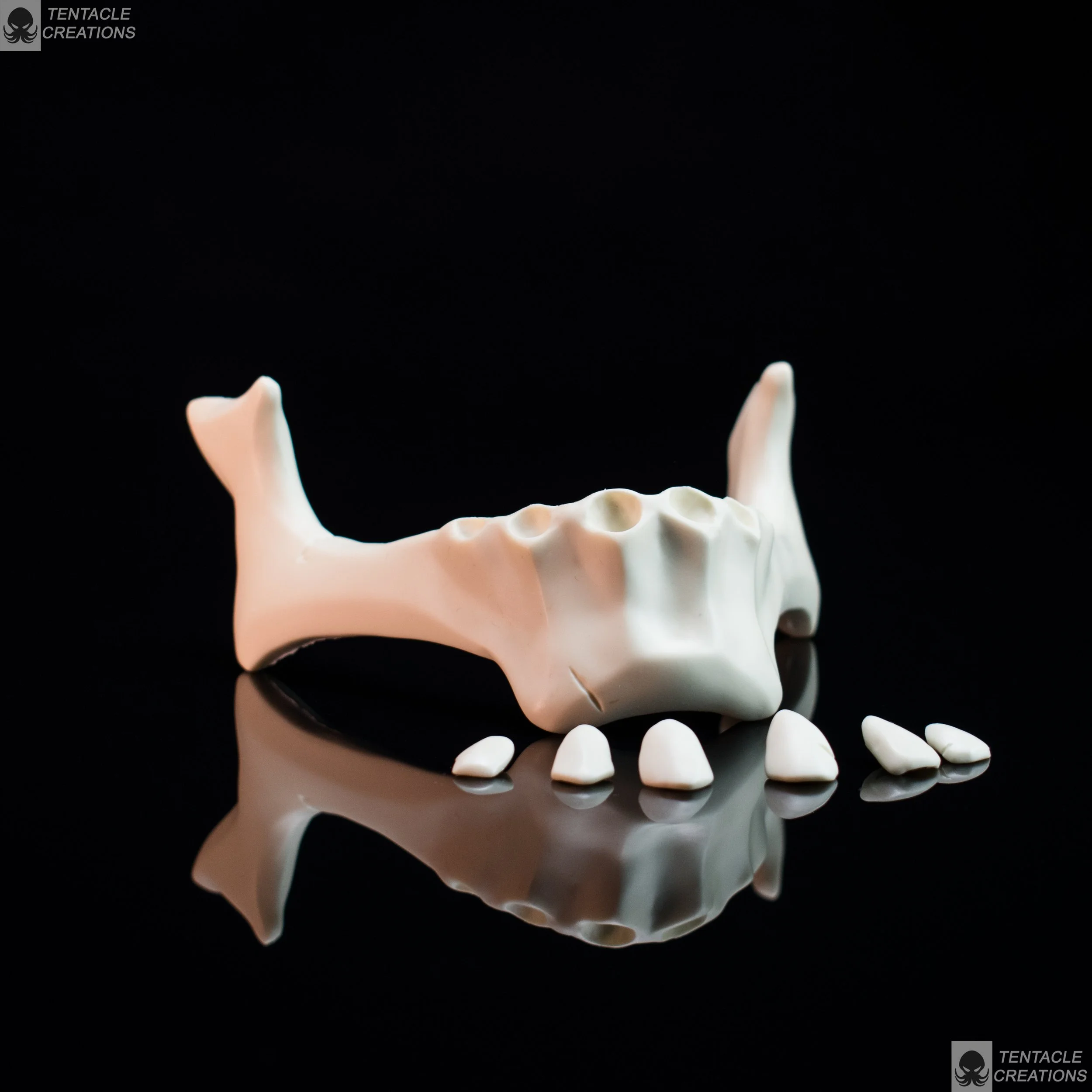 Lower skull jaw for a skull Inspired by Sea of Thieves