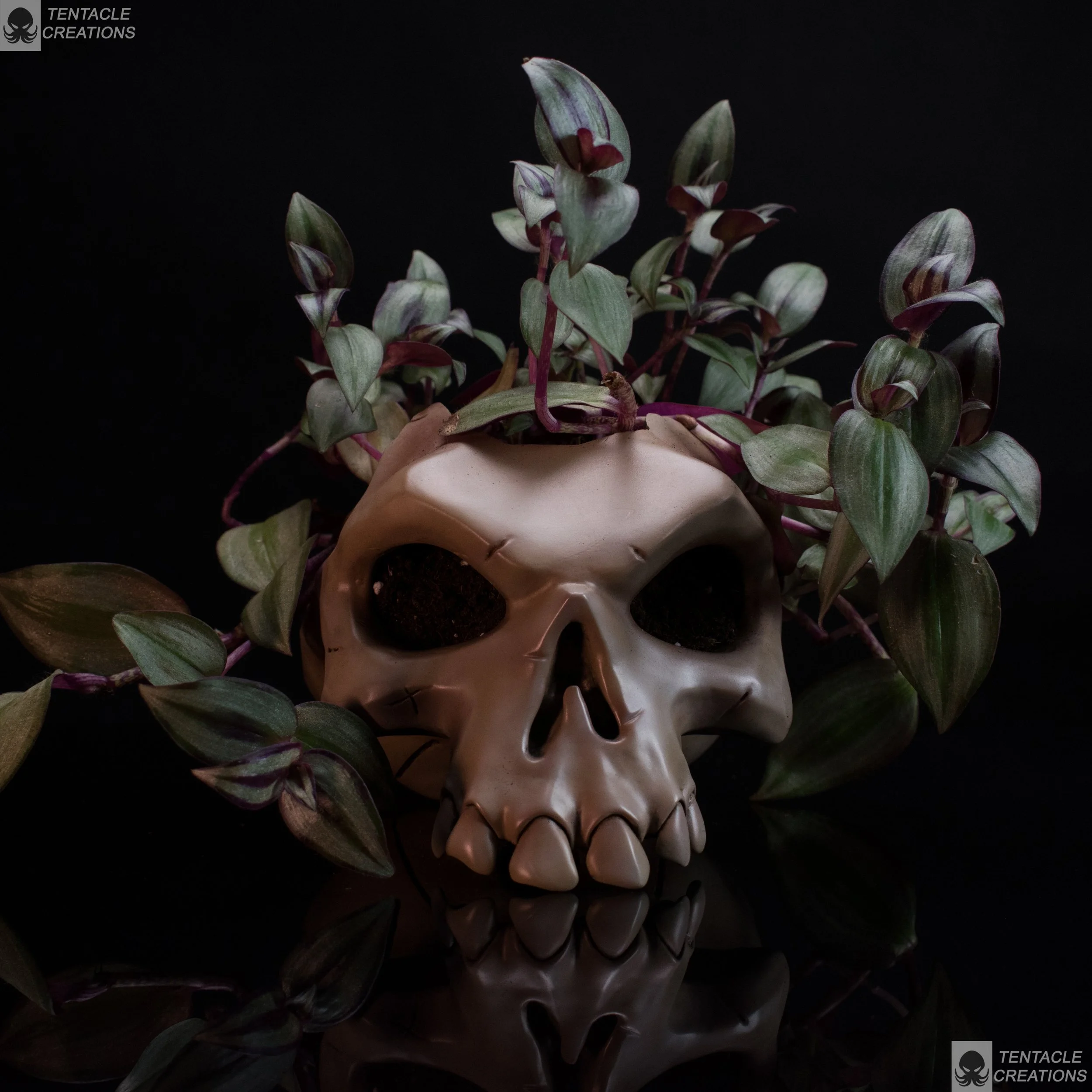 plant pot skull-8.JPG
