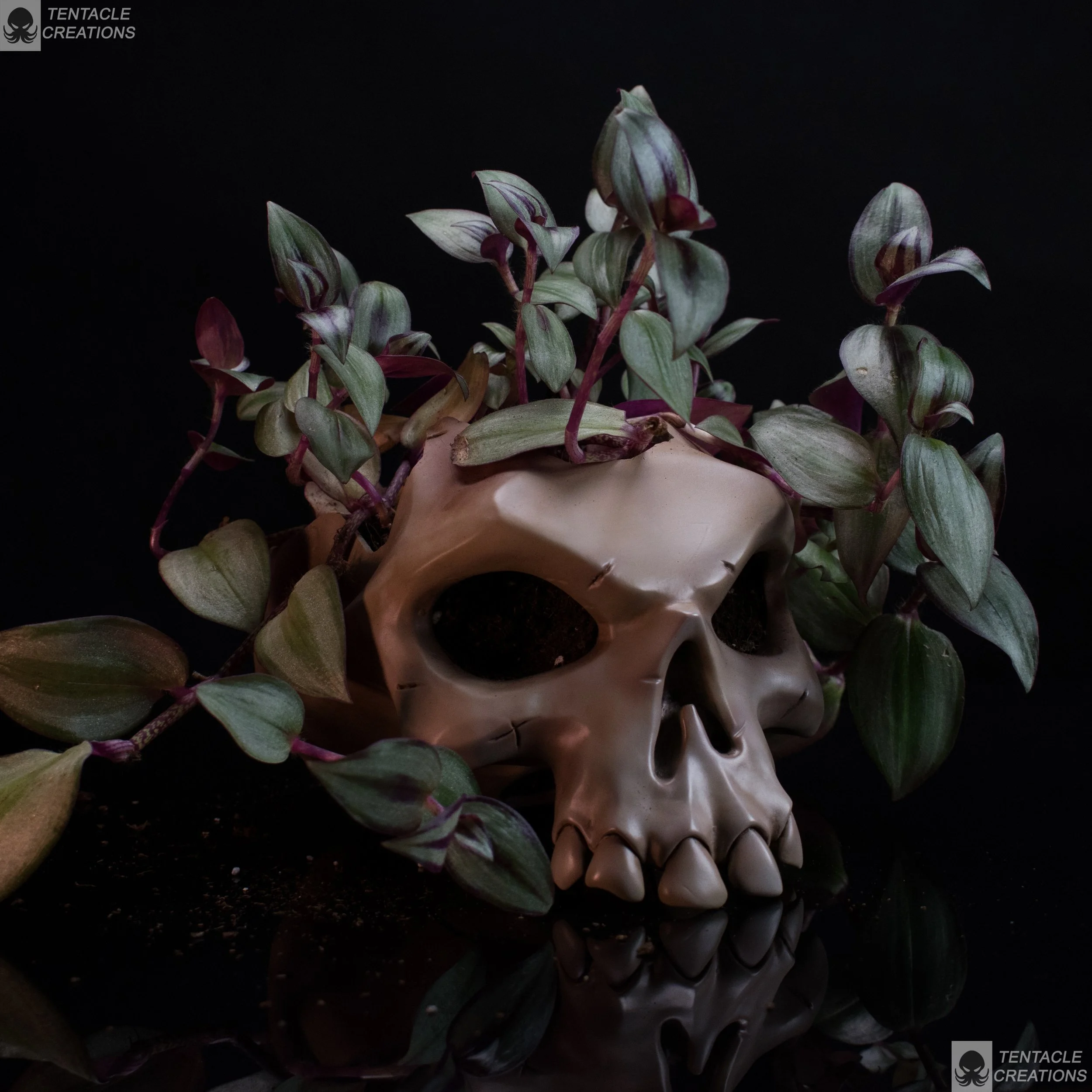 plant pot skull-13.JPG