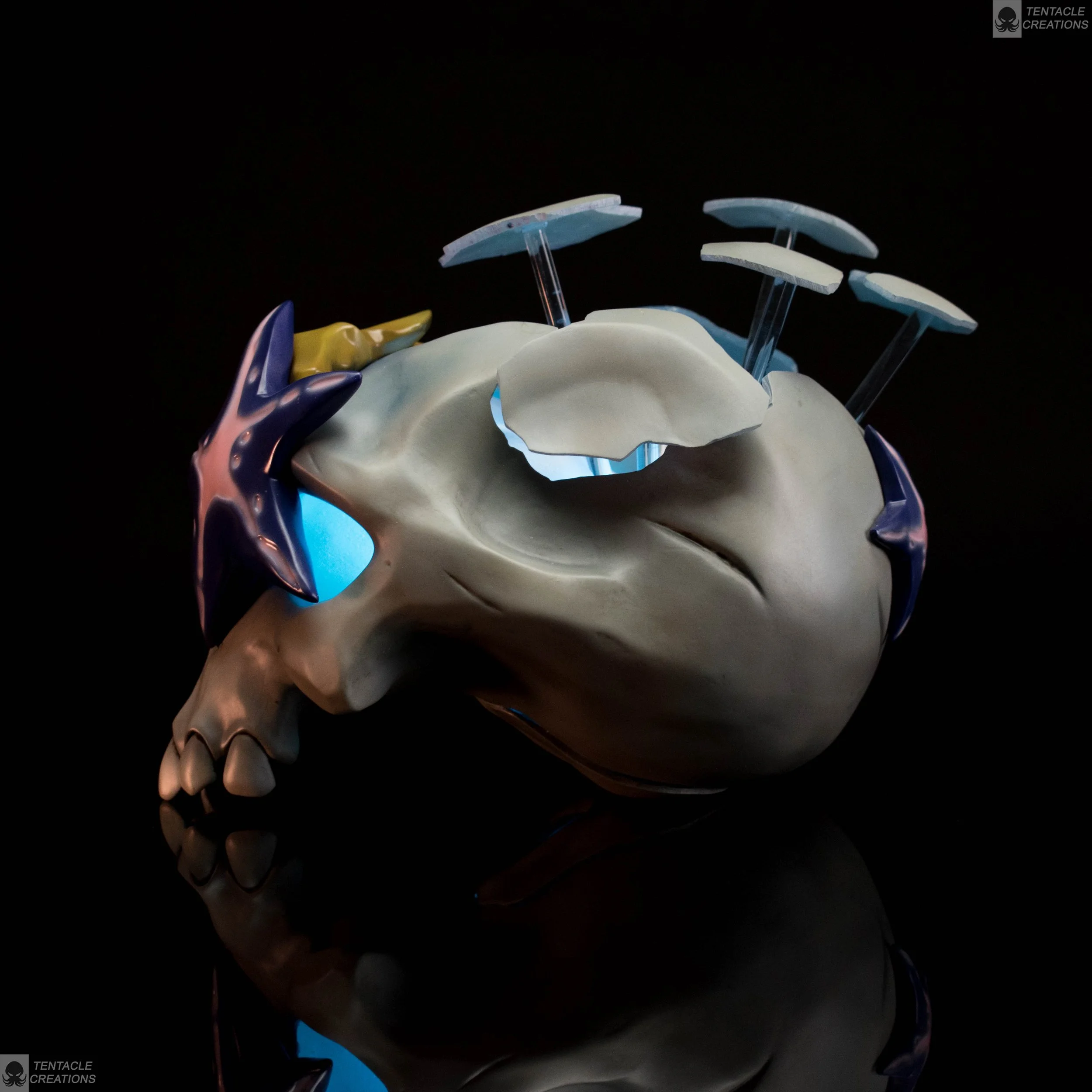 coral skull final-9.jpg