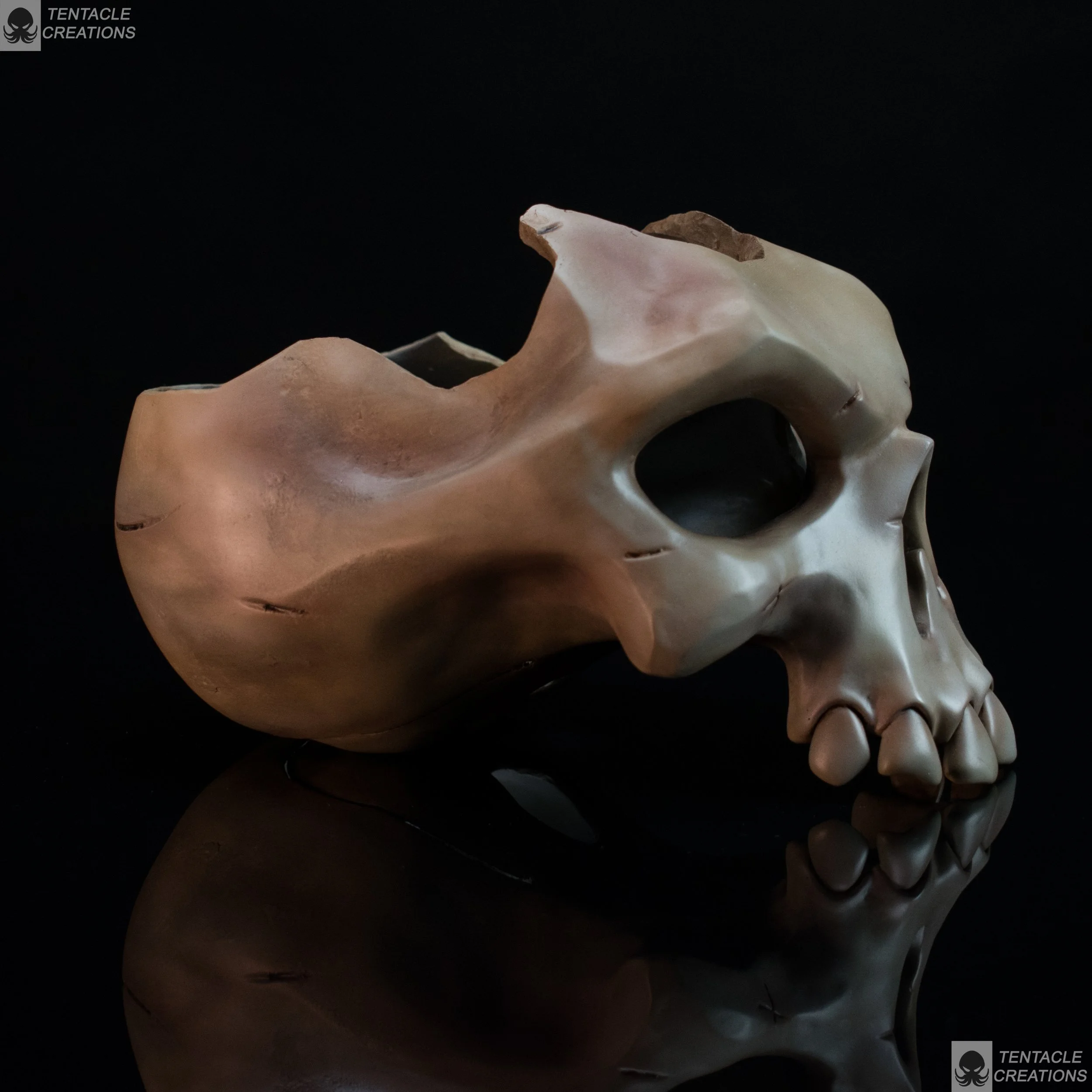 plant pot skull-6.JPG