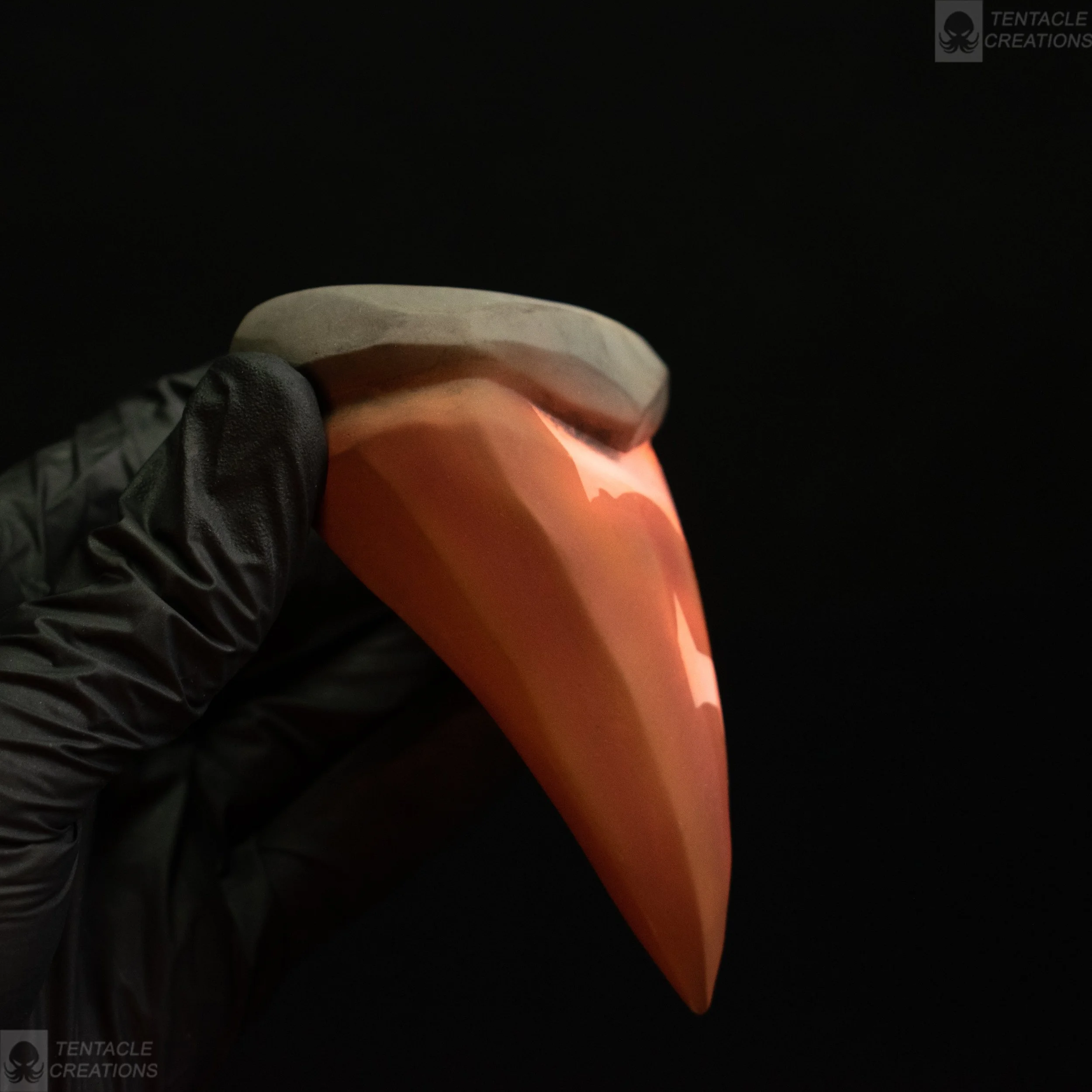 final teeth meg-20.jpg (Copy)