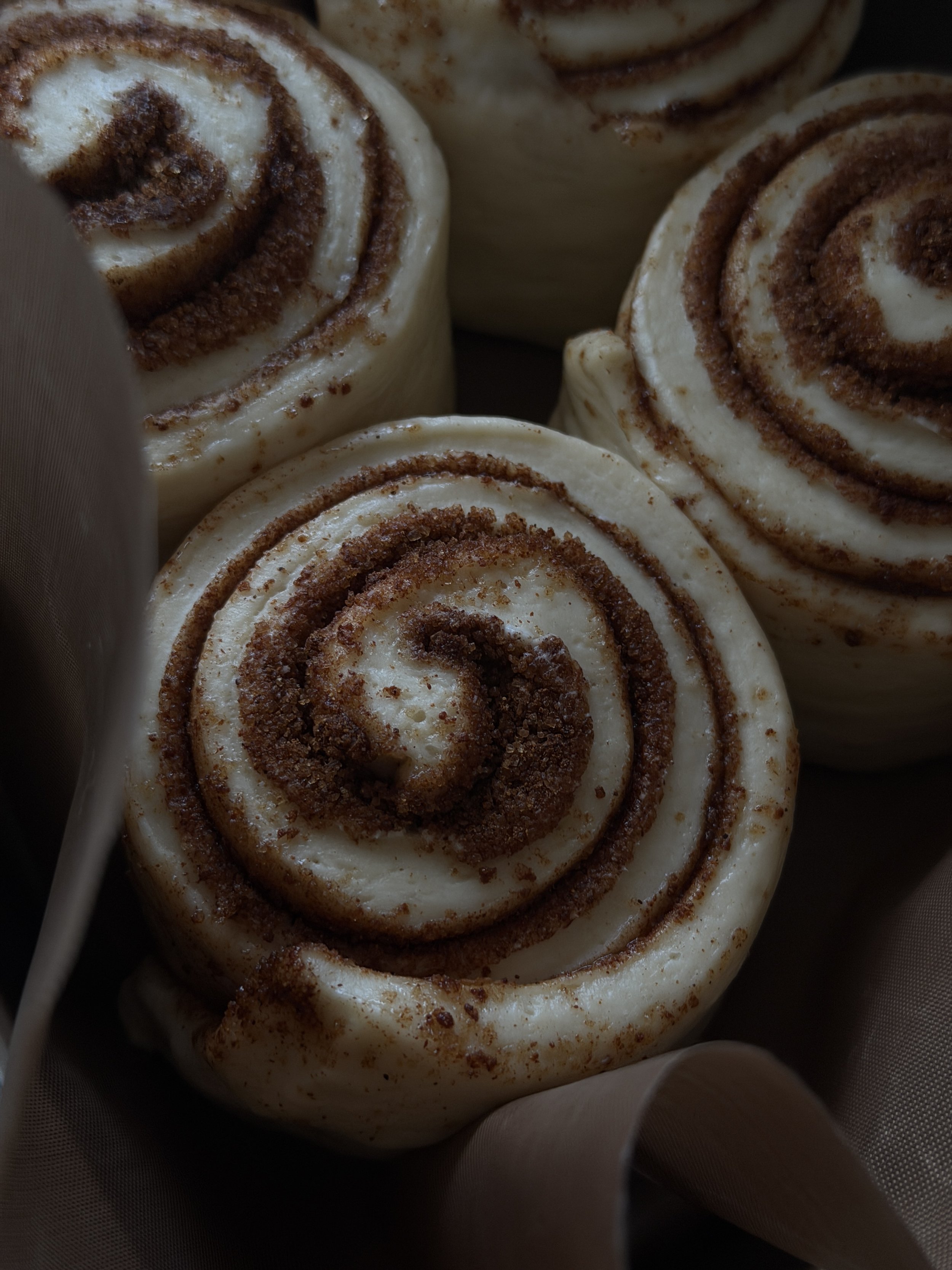 Close-up of cinnamon rolls with swirled dough and cinnamon filling, placed in a baking dish.