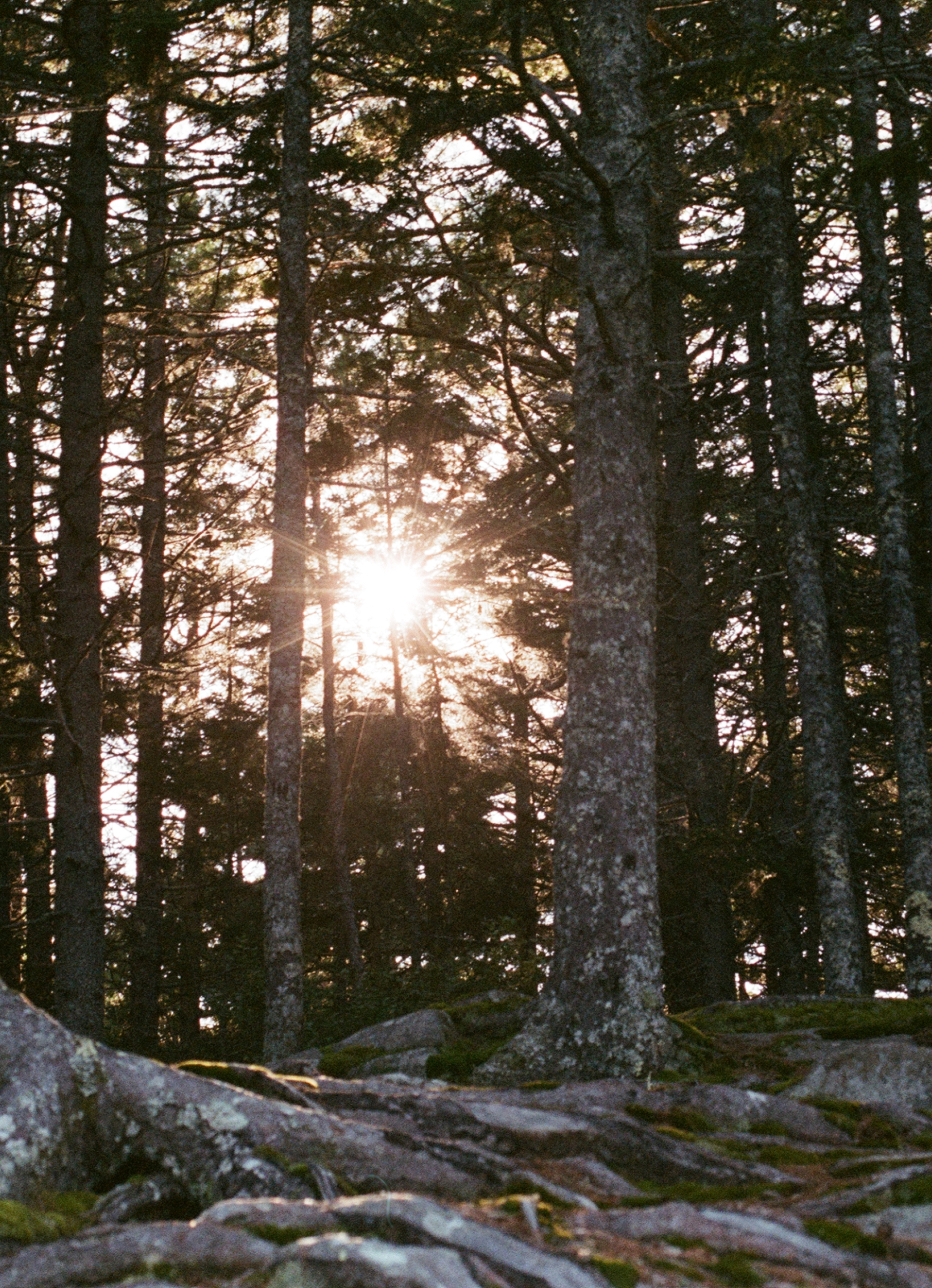 Explore Image Cropped.png