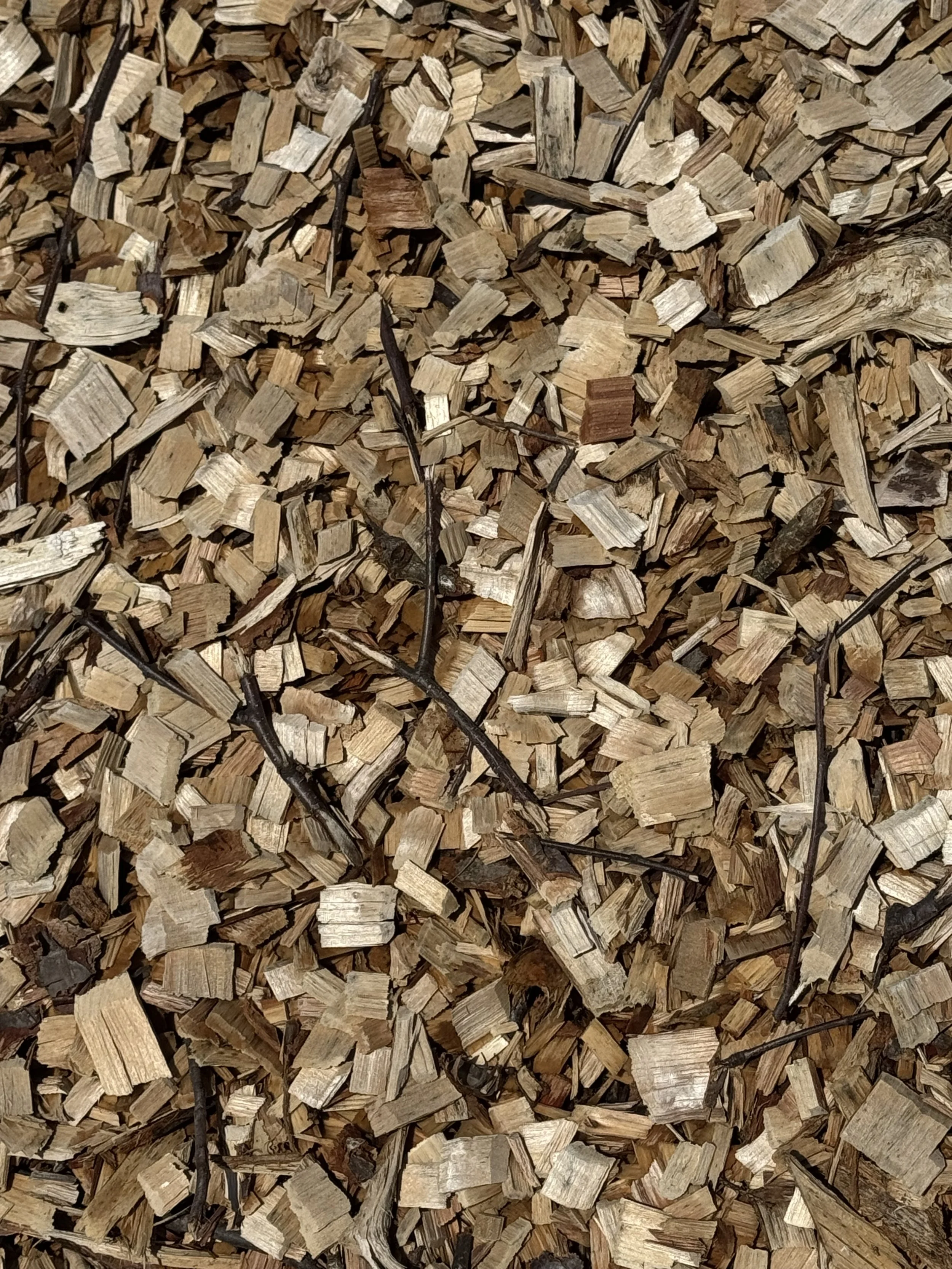 Wood Chips /CY