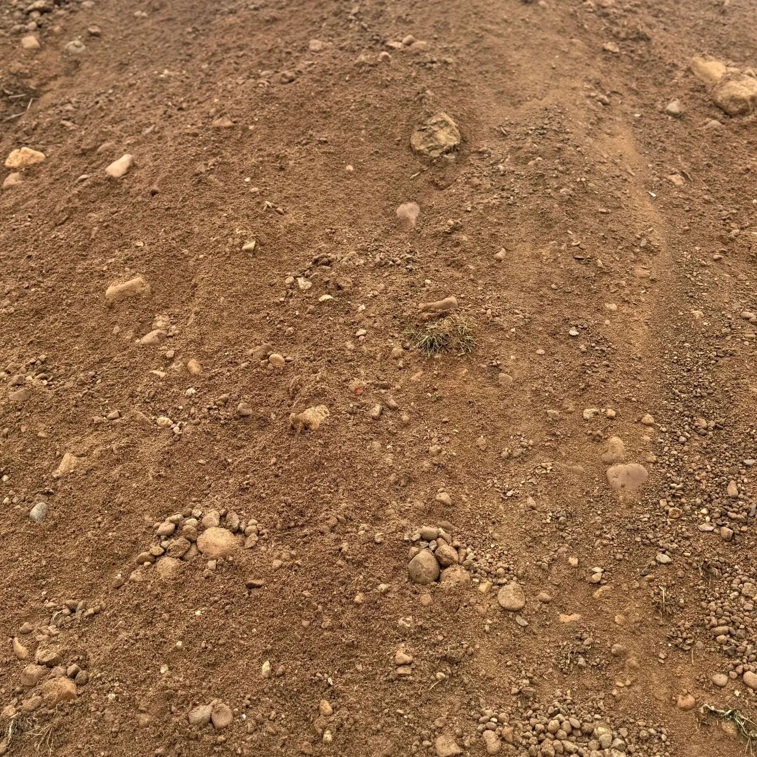 Unscreened Fill