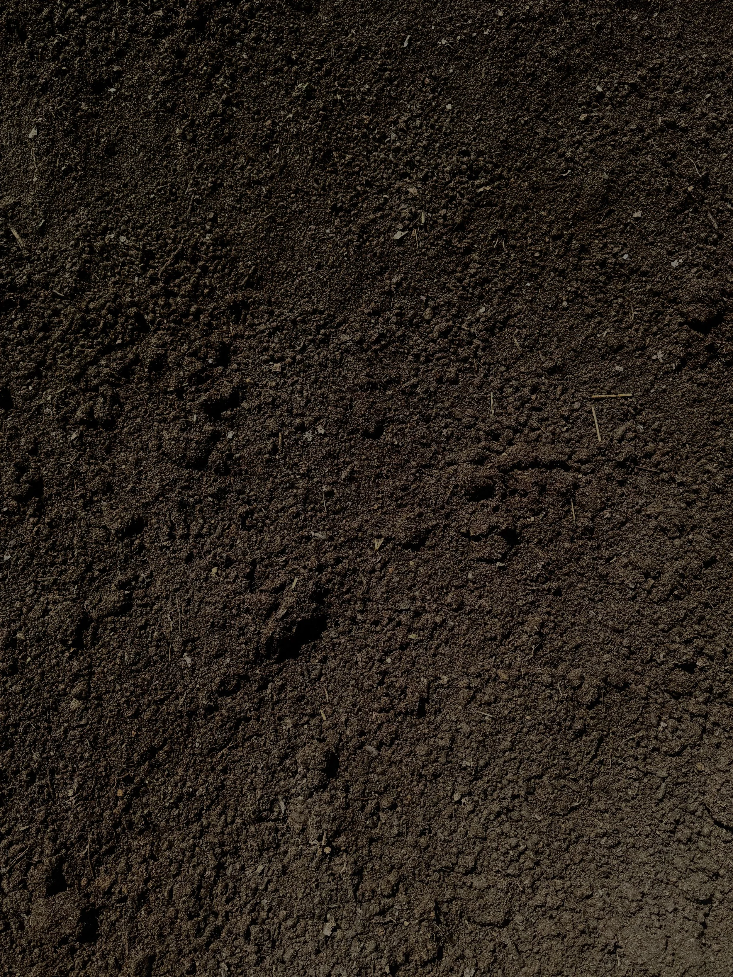 Compost /CY
