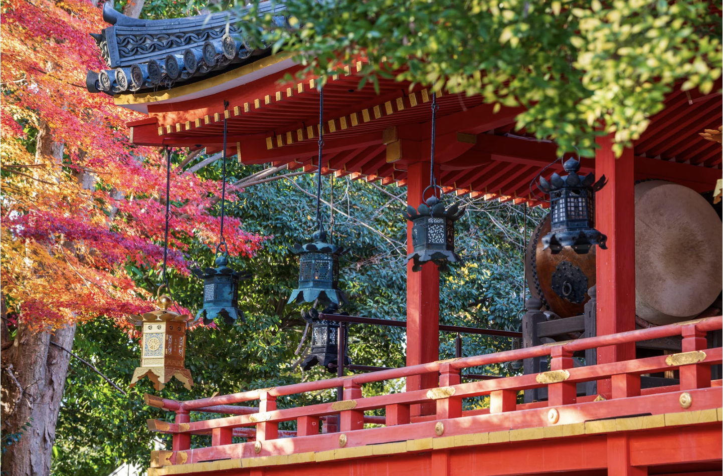 LinkedIn cover image.png