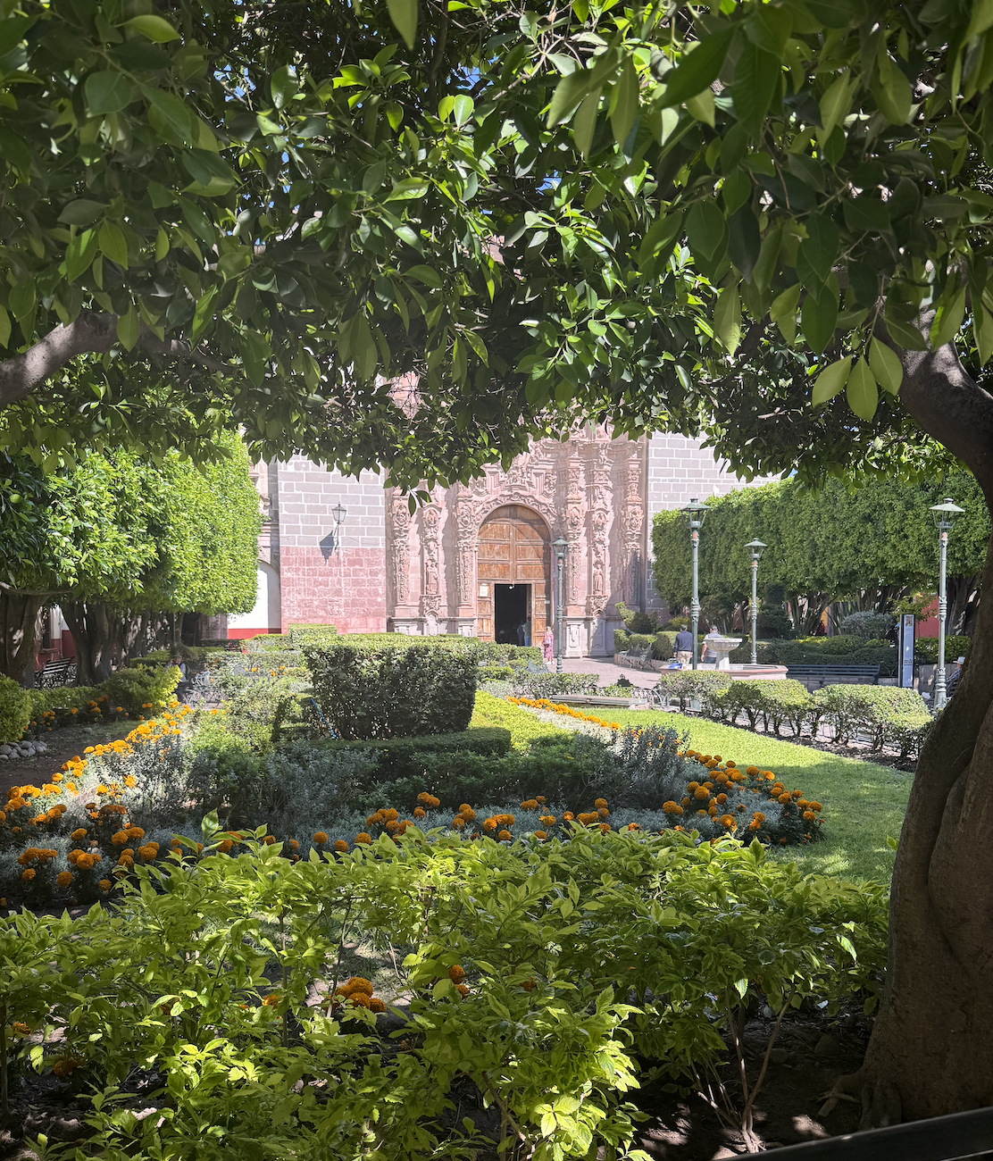 Screenshot 2026-01-14 at 1.33.42 PM.png