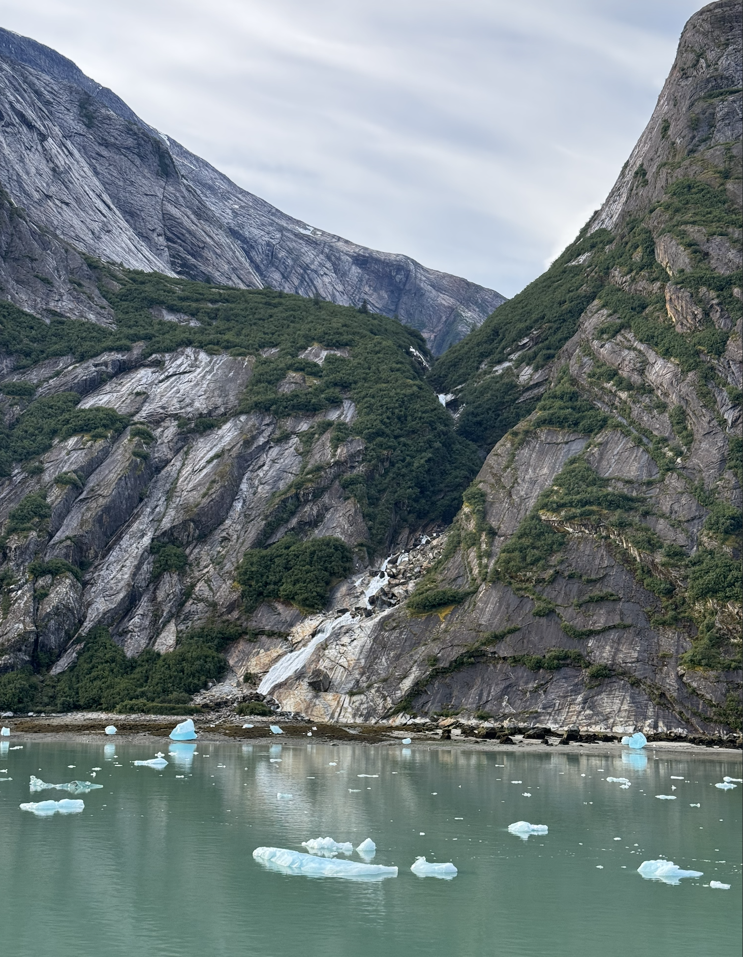 Screenshot 2026-01-14 at 2.00.14 PM.png