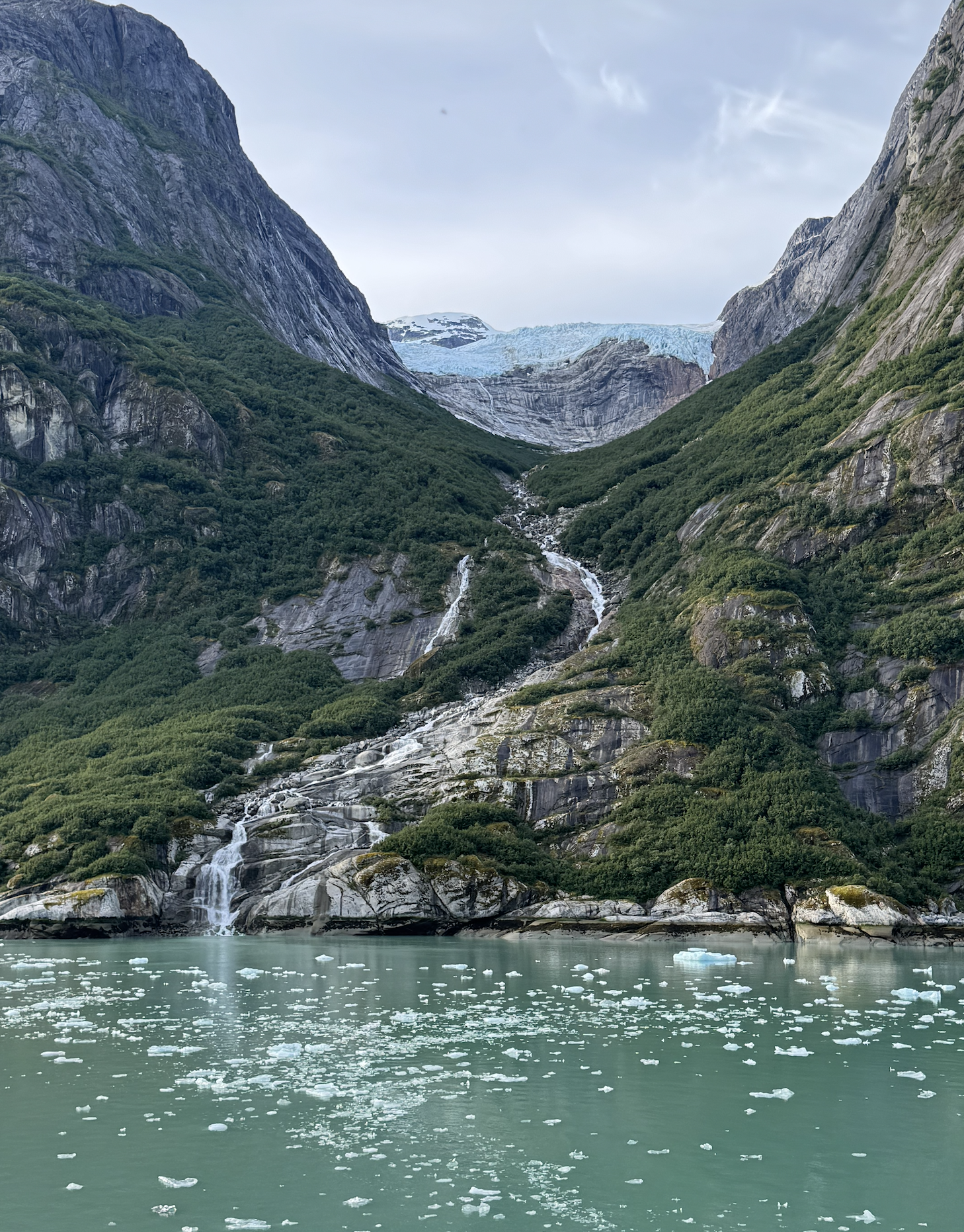 Screenshot 2026-01-14 at 2.00.06 PM.png