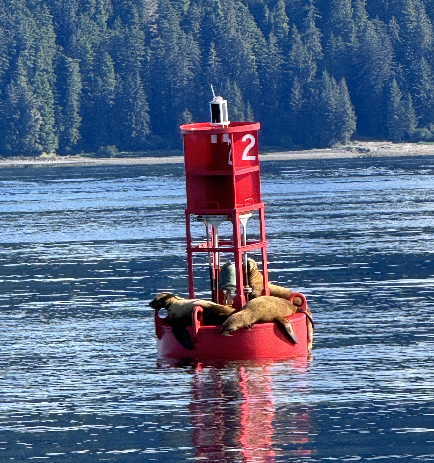 Screenshot 2026-01-14 at 1.59.57 PM.png