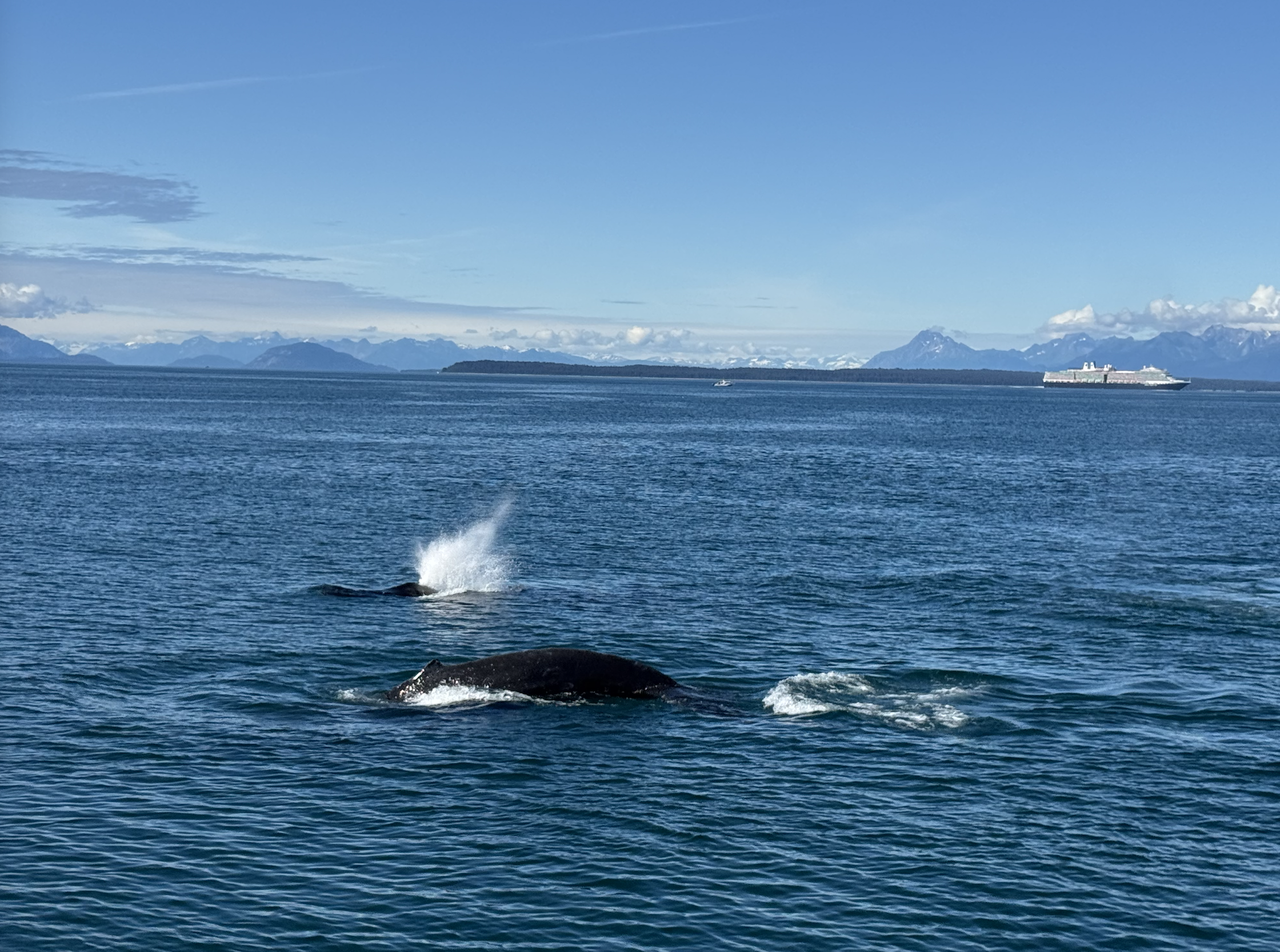 Screenshot 2026-01-14 at 1.59.47 PM.png