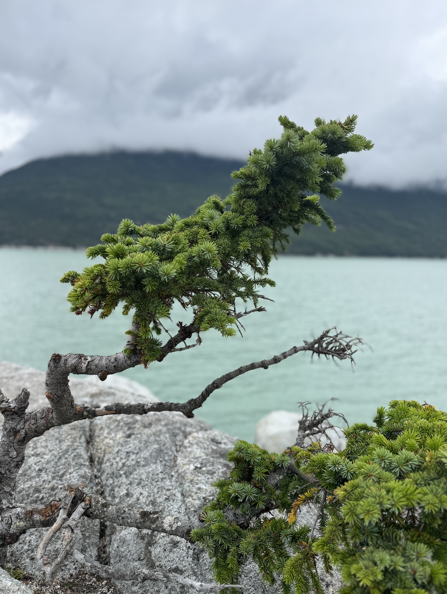 Screenshot 2026-01-14 at 2.00.39 PM.png