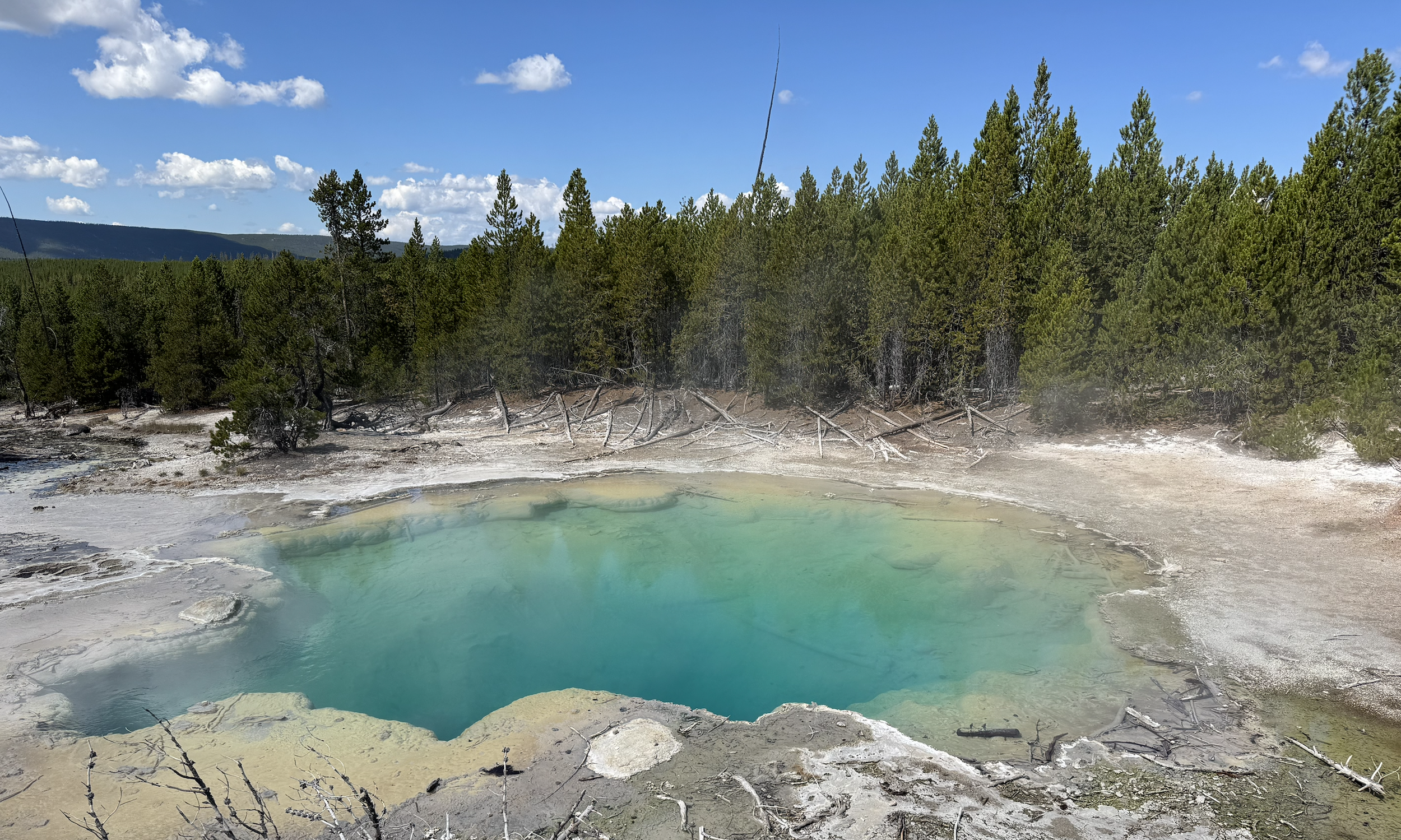 Screenshot 2026-01-14 at 3.11.28 PM.png