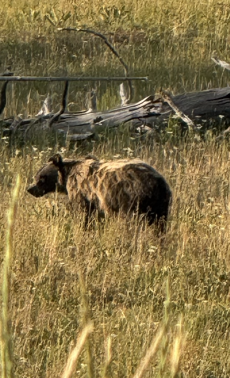 Screenshot 2026-01-14 at 3.12.14 PM.png