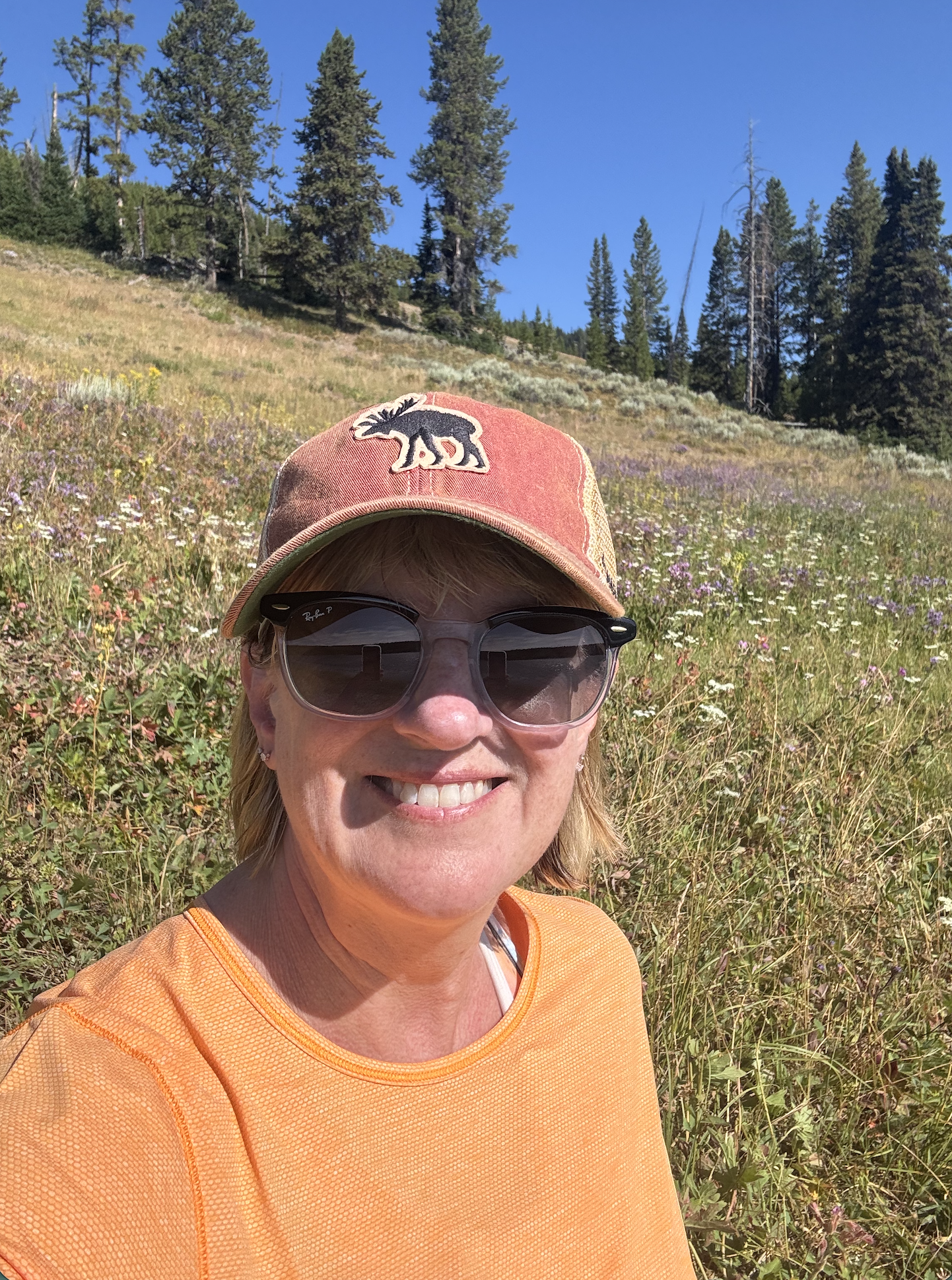 Screenshot 2026-01-14 at 3.12.02 PM.png