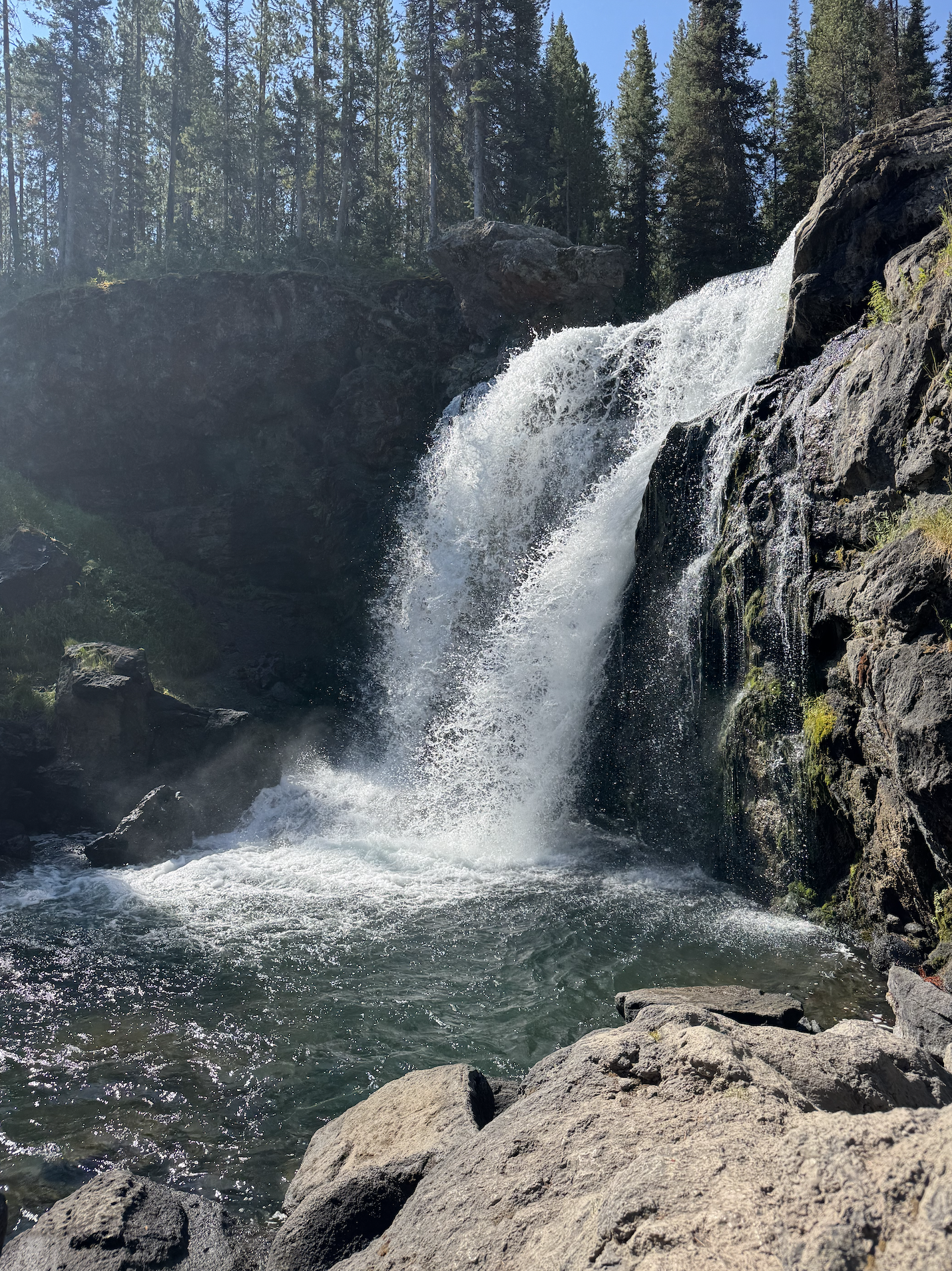 Screenshot 2026-01-14 at 3.13.09 PM.png