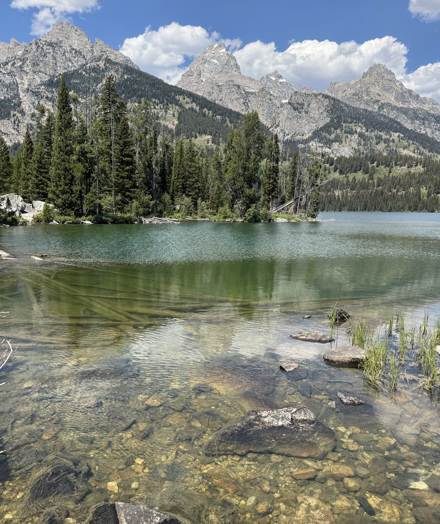 Screenshot 2026-01-14 at 3.14.03 PM.png