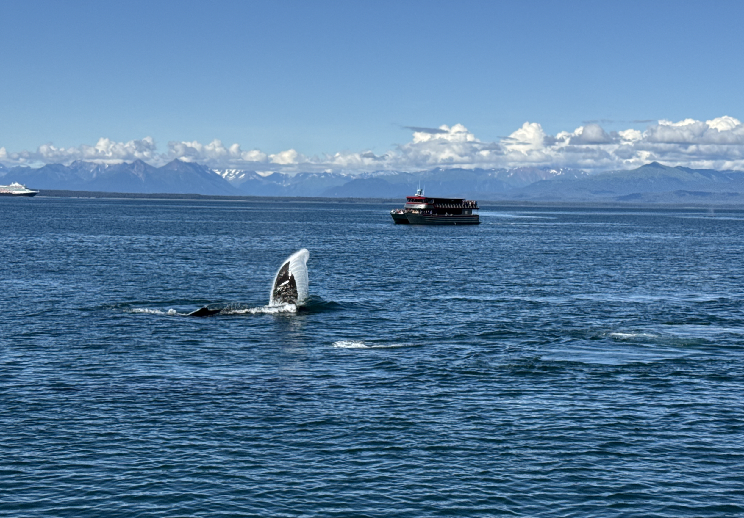 Screenshot 2026-01-14 at 3.14.21 PM.png