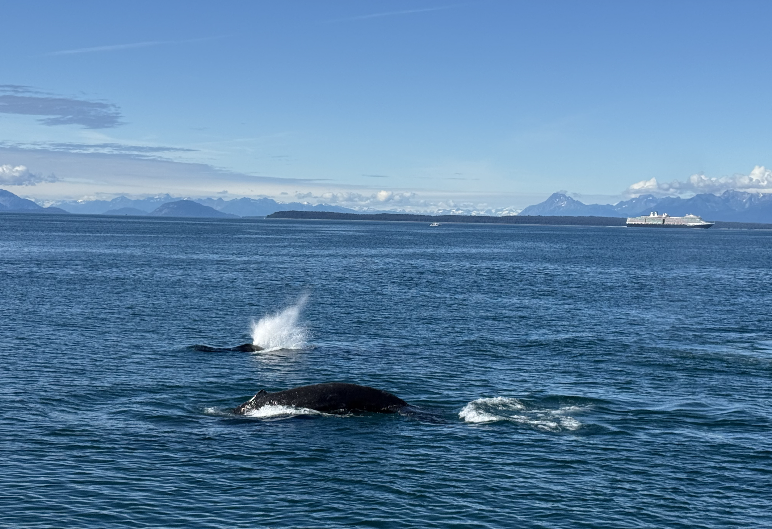 Screenshot 2026-01-14 at 3.14.33 PM.png