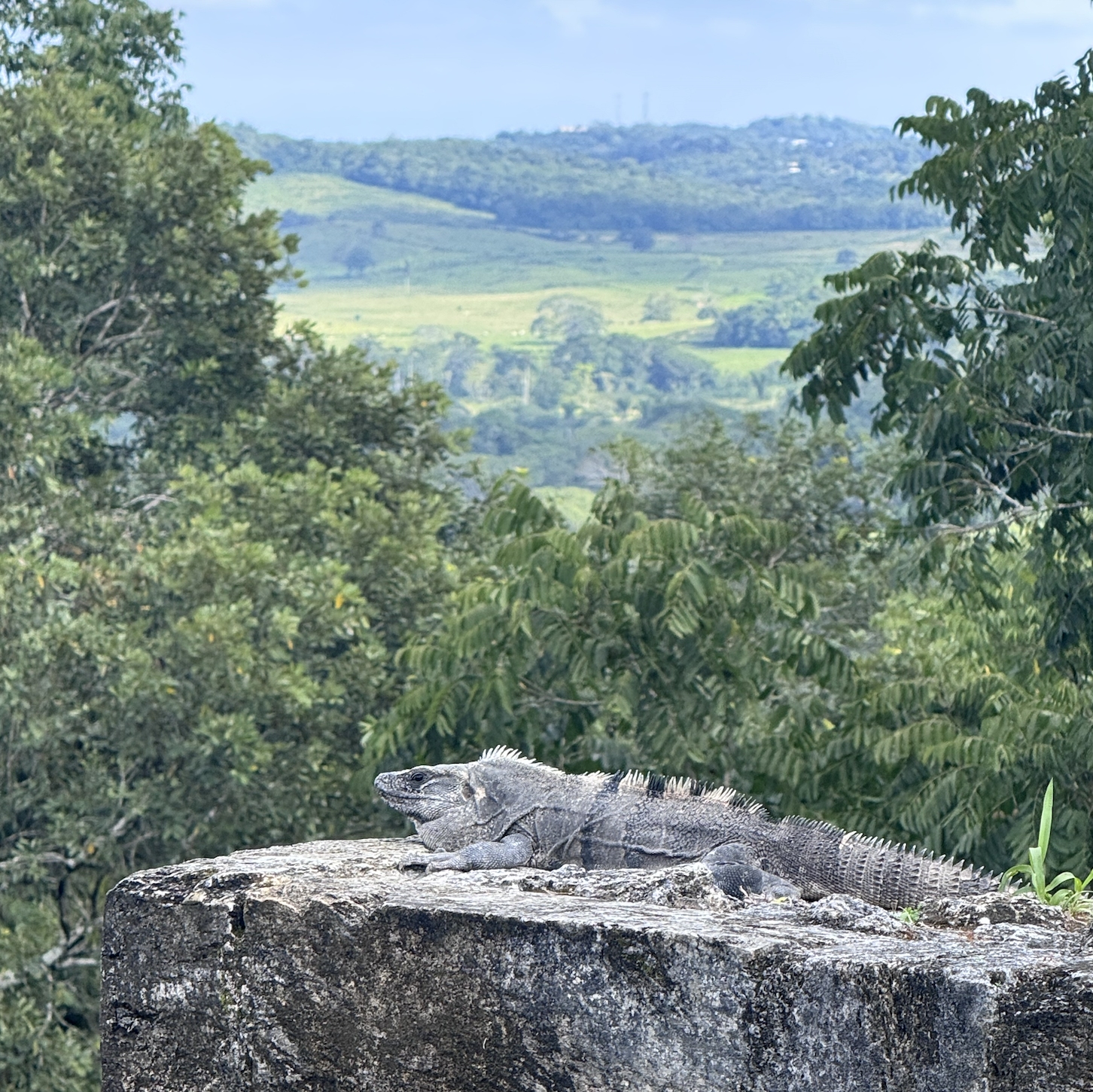 Screenshot 2026-02-21 at 10.04.36 AM.png