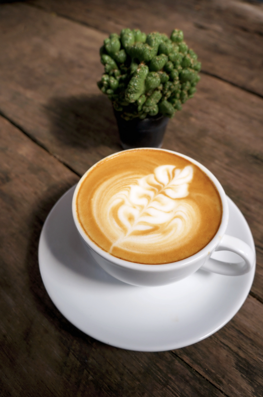 A cup of coffee with latte art design, on a white saucer, accompanied by a small potted cactus plant, on a wooden table.