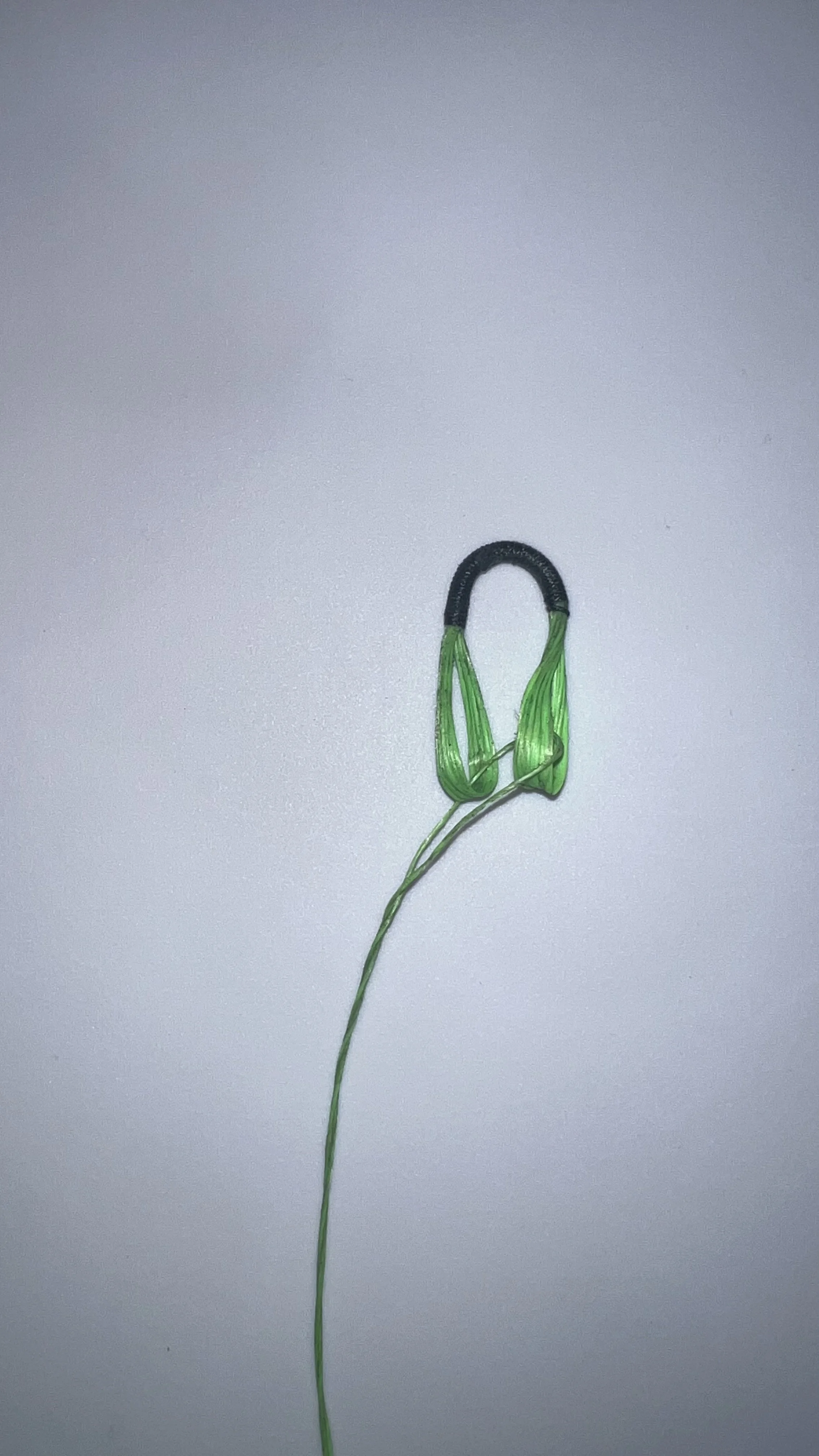 Flo Green D loop.jpeg