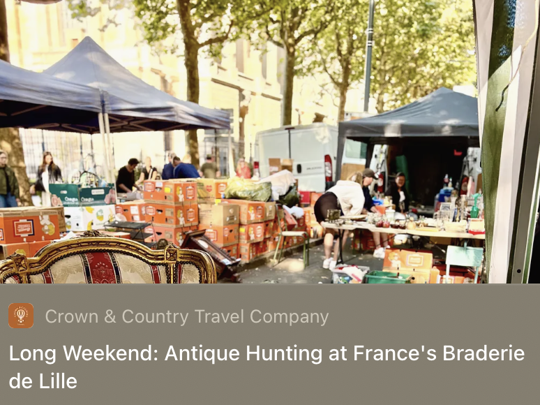 Outdoor french flea market scene with tents, tables, and people browsing antique and secondhand items in France.