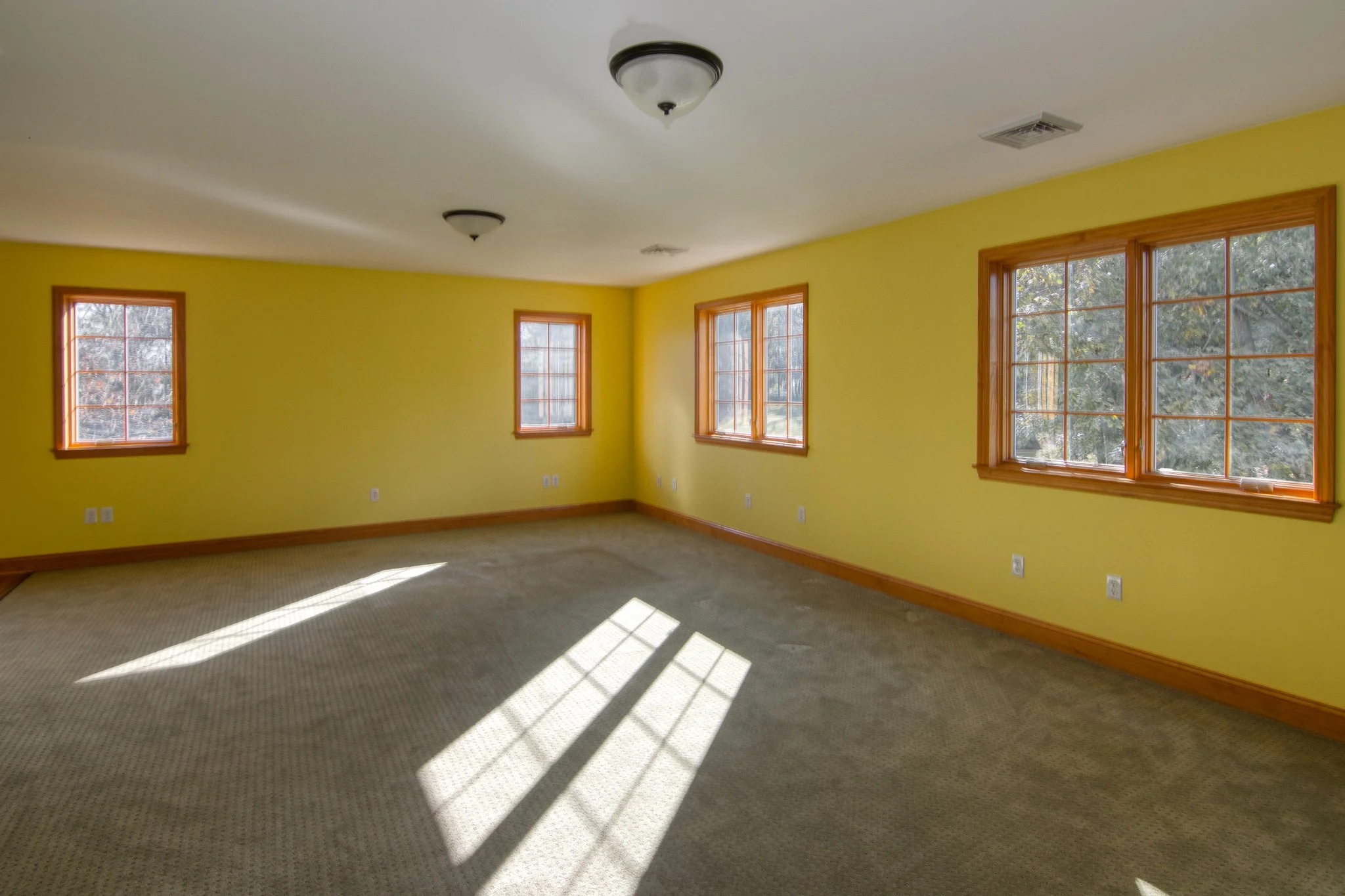 Empty living room with yellow walls, four wooden-framed windows, beige carpet, and ceiling lights.