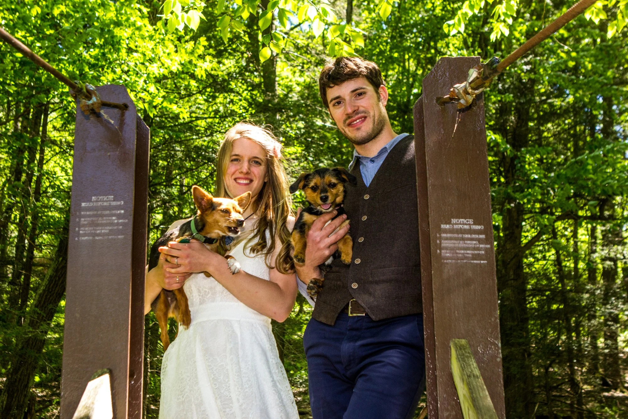 Mason Hill_Cabin-bridgedogs_web.jpg