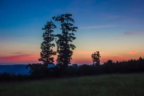 Silhouetted trees against a colorful sunset sky over a grassy landscape.