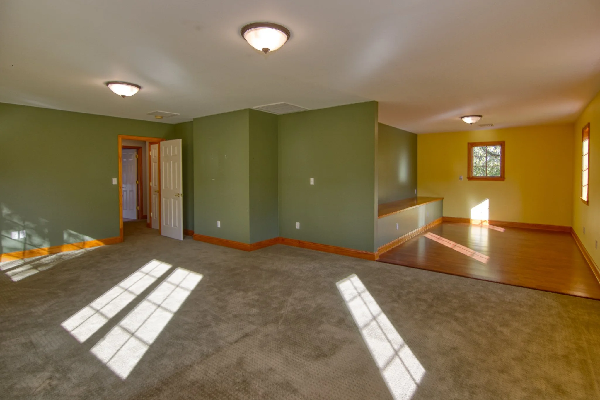 Empty living room with green and yellow walls, carpeted and hardwood floors, multiple windows, and ceiling lights, with sunlight casting shadows.