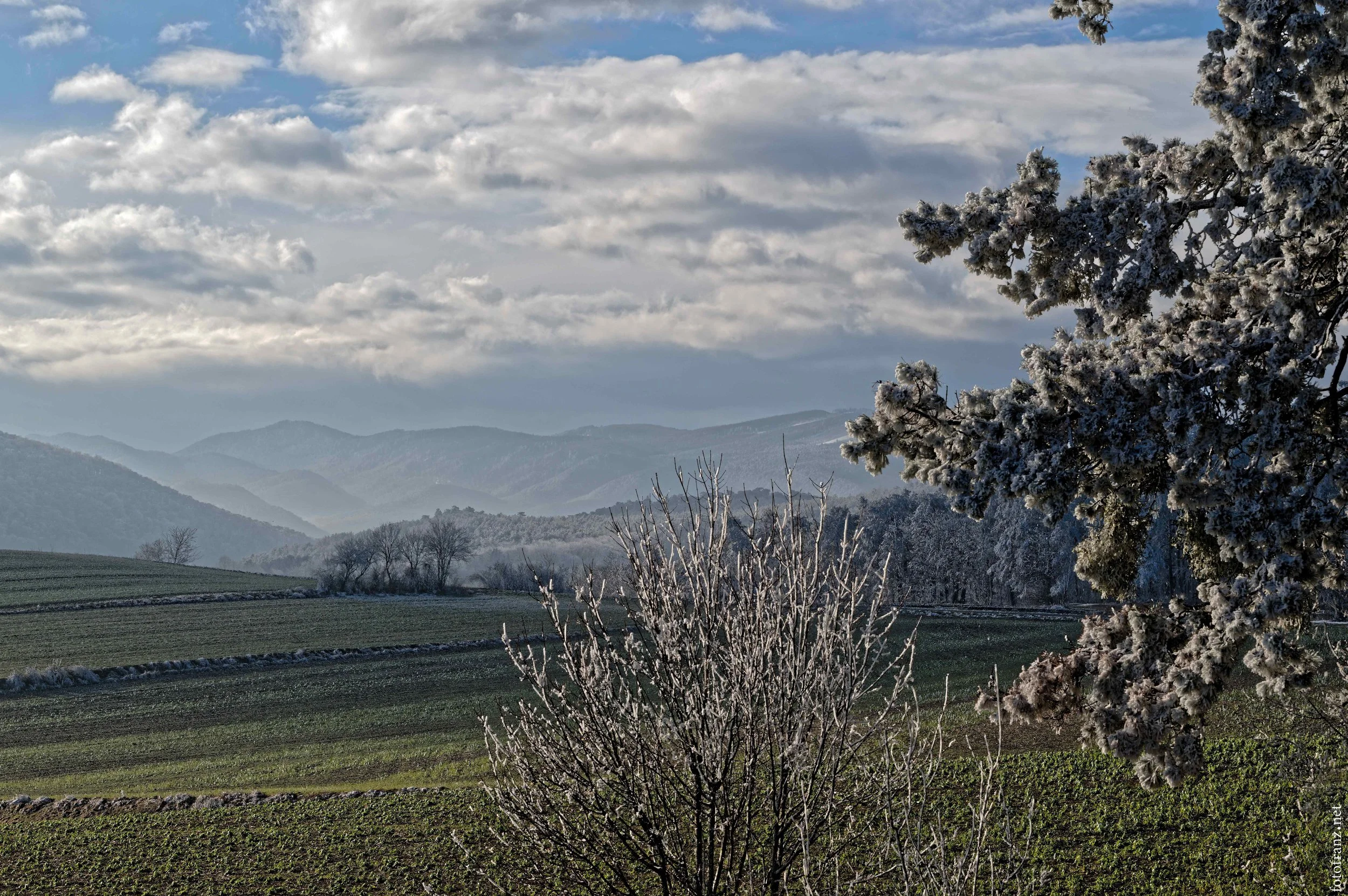 Winterlandschaft mit verschneiten Bäumen, Hügeln und Wolken am Himmel.