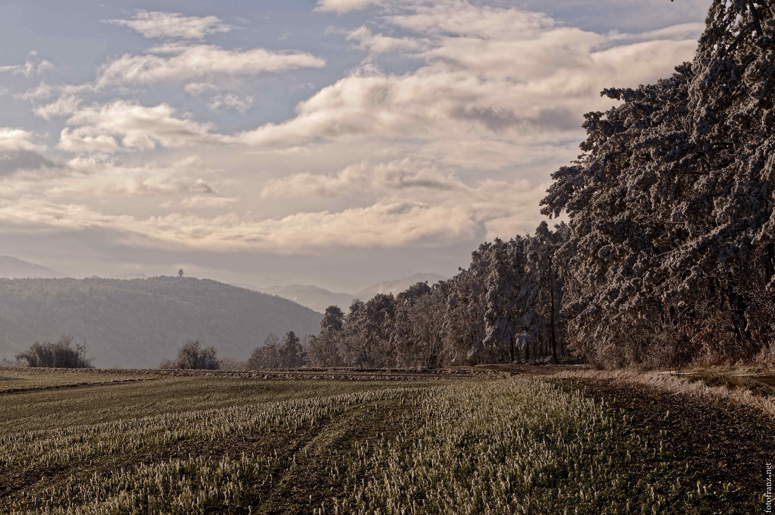 Landschaft mit bewachsenen Hügeln im Hintergrund, bewaldeten Hügeln auf der rechten Seite und Feldern im Vordergrund bei bewölktem Himmel.